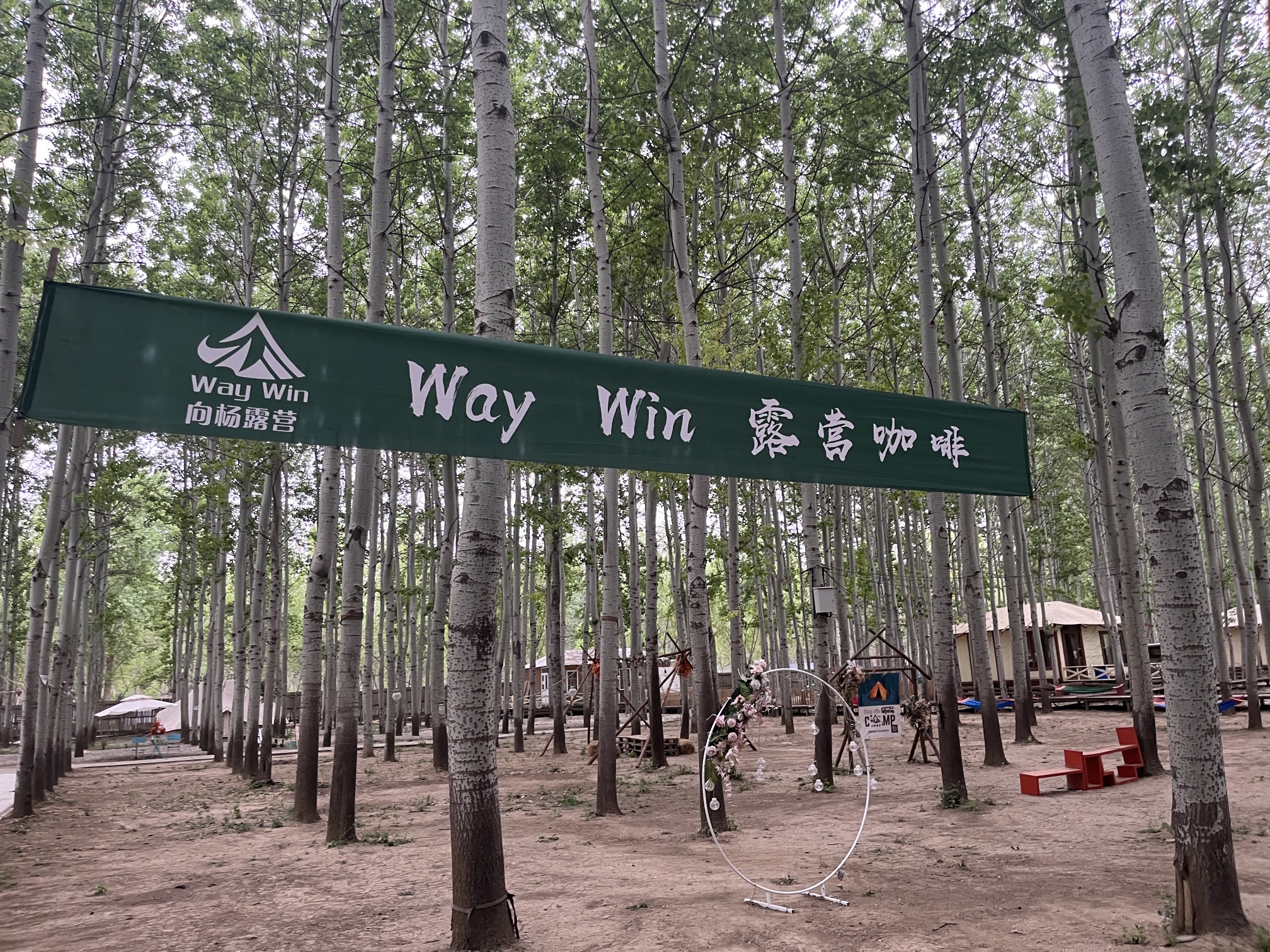 场地封面-WayWin Camping向杨露营社区