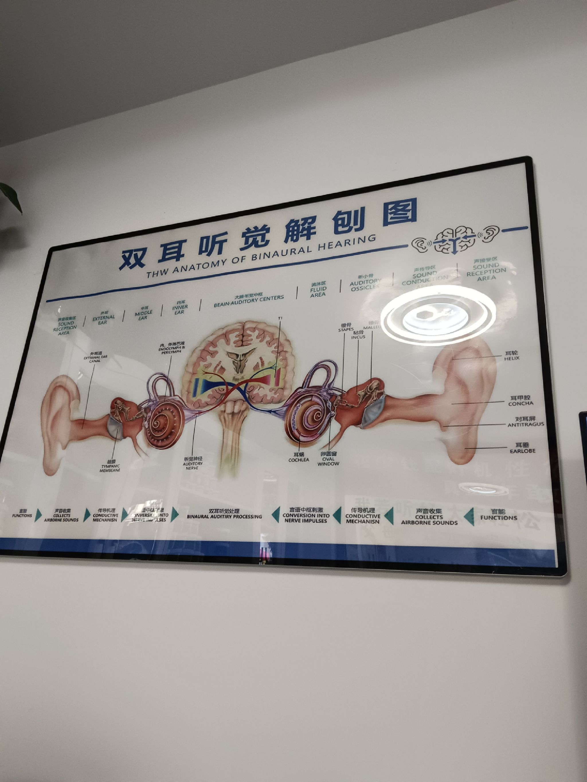 自然之声助听器·呼吸机(盐湖店)