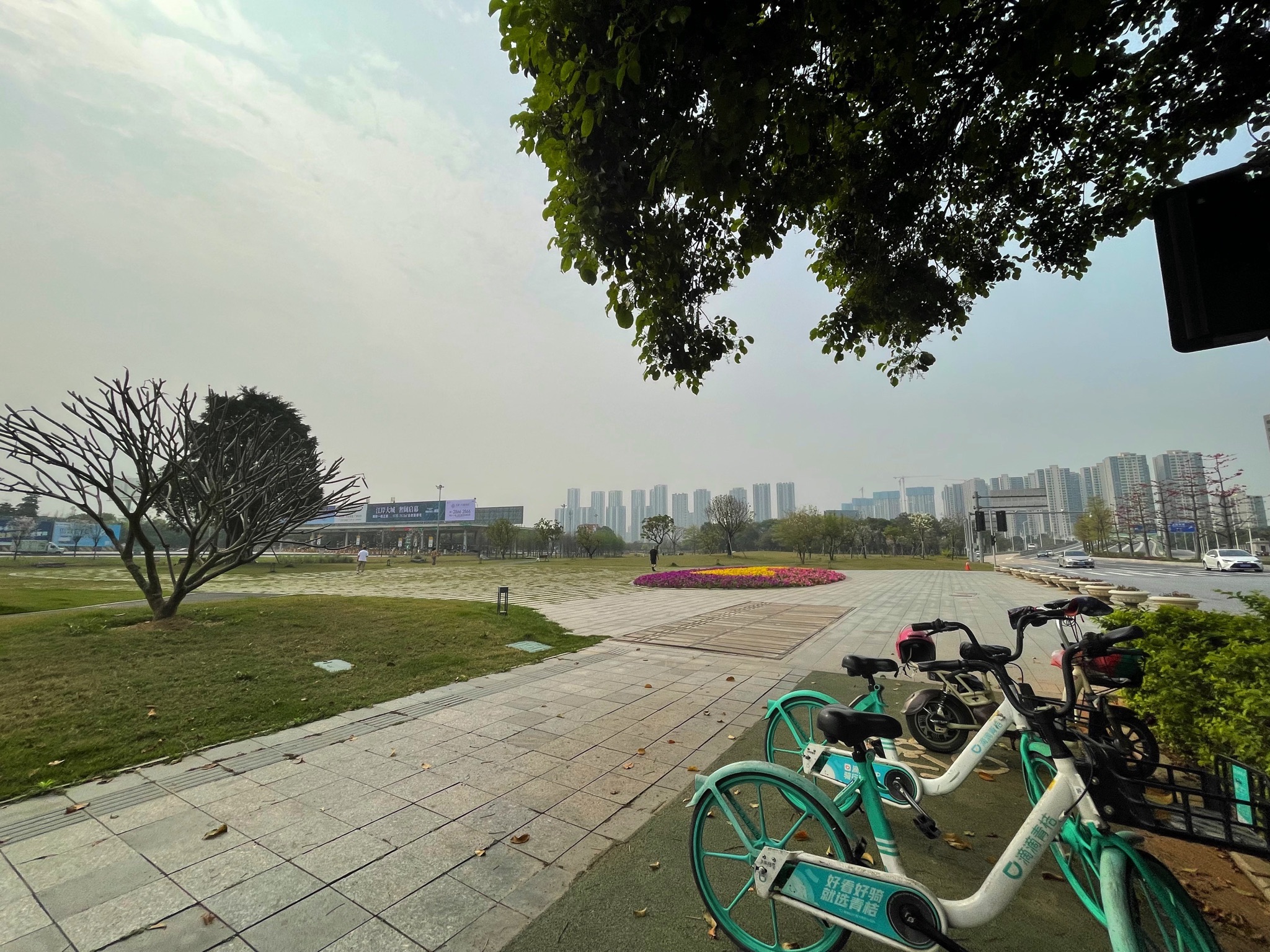 智云公园旅行图片 3