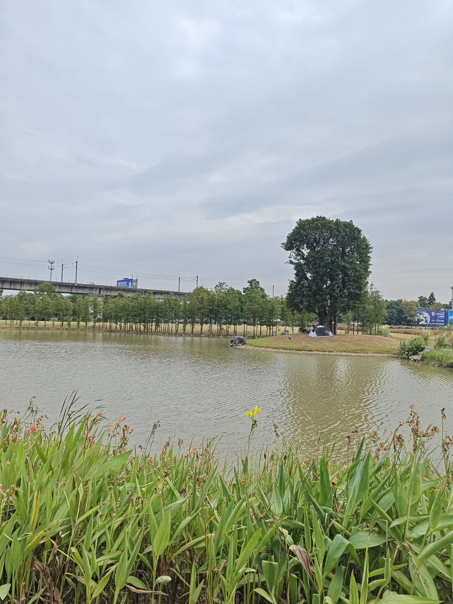智云公园旅行图片 1