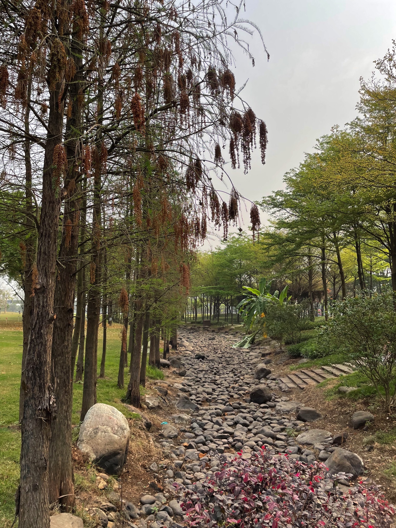 智云公园旅行图片 1