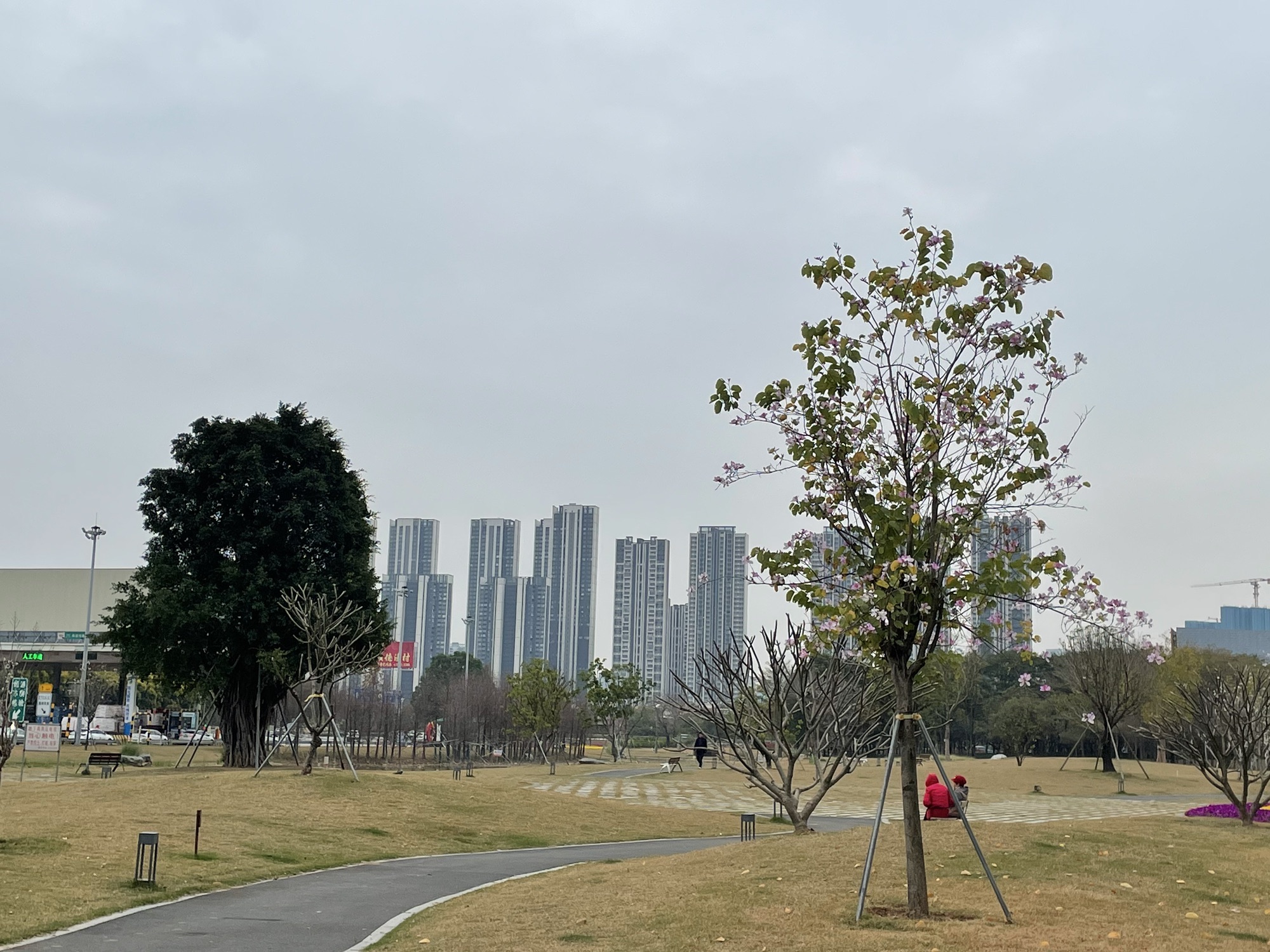 智云公园旅行图片 2