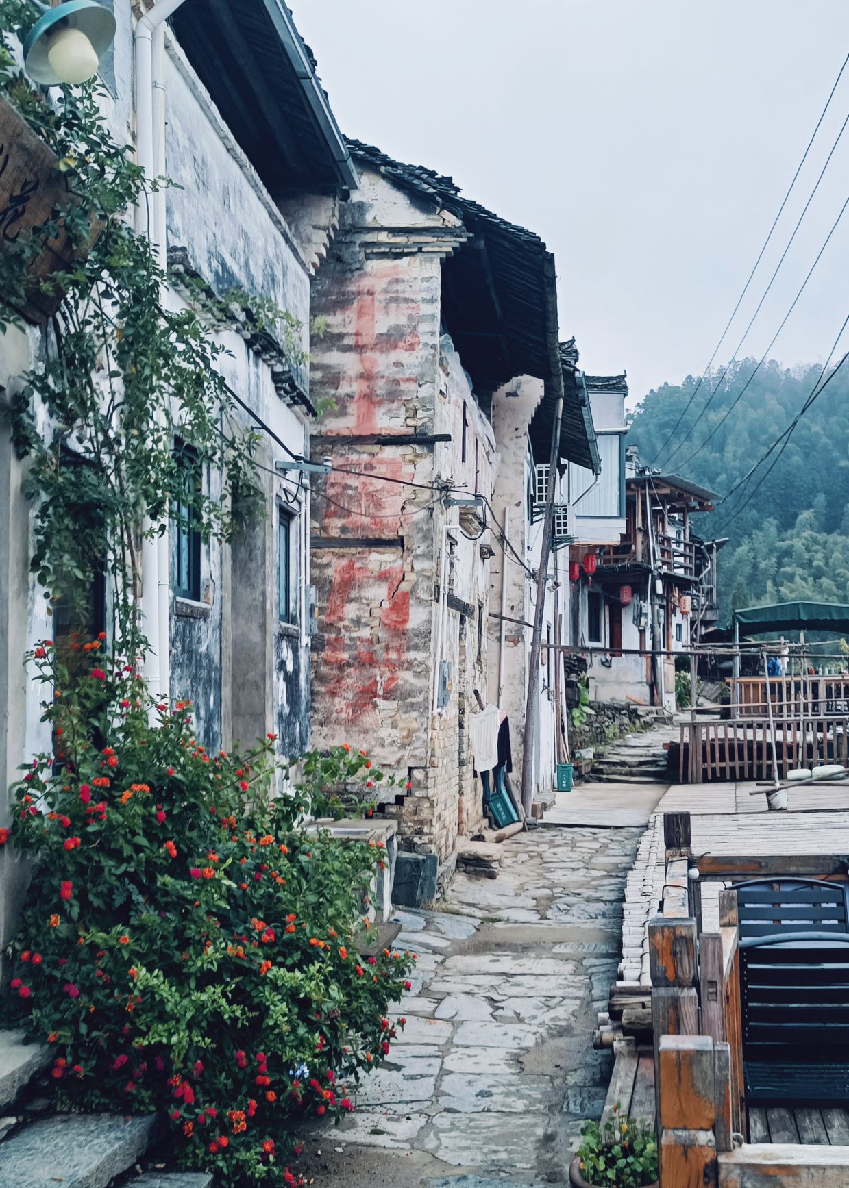 木梨硔旅行图片 2
