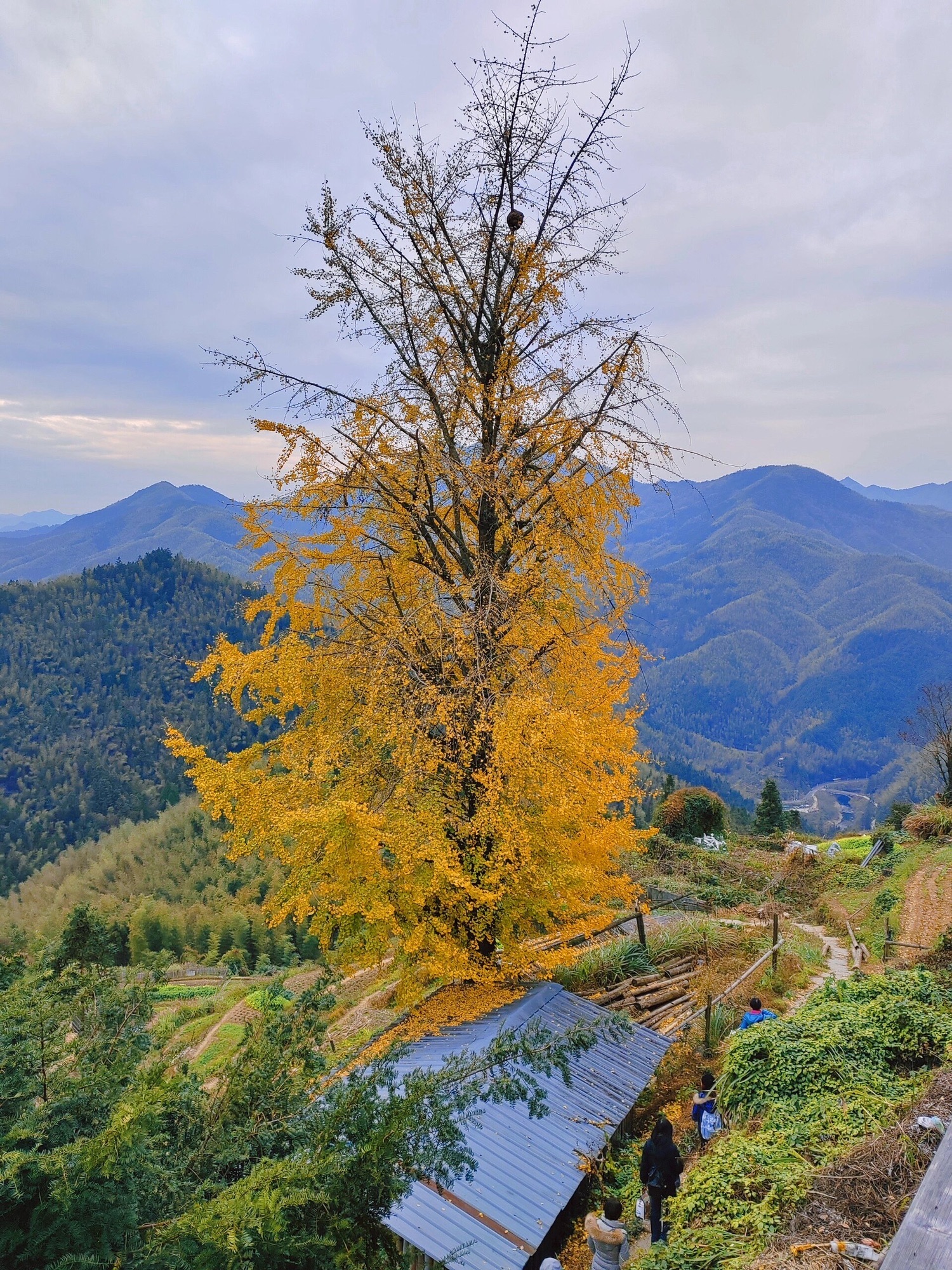 木梨硔旅行图片 3