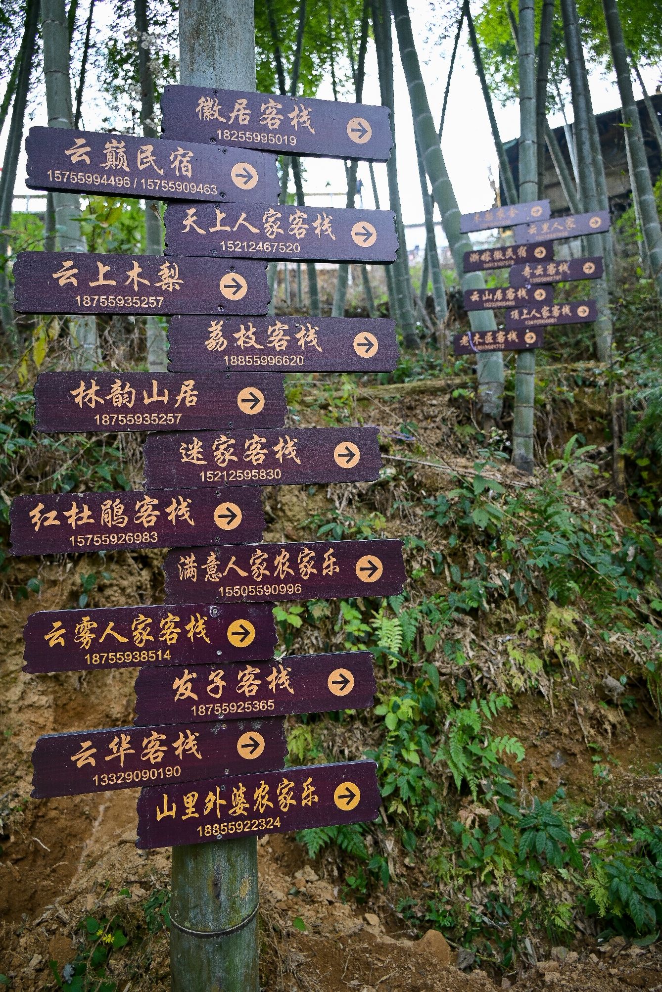 木梨硔旅行图片 1