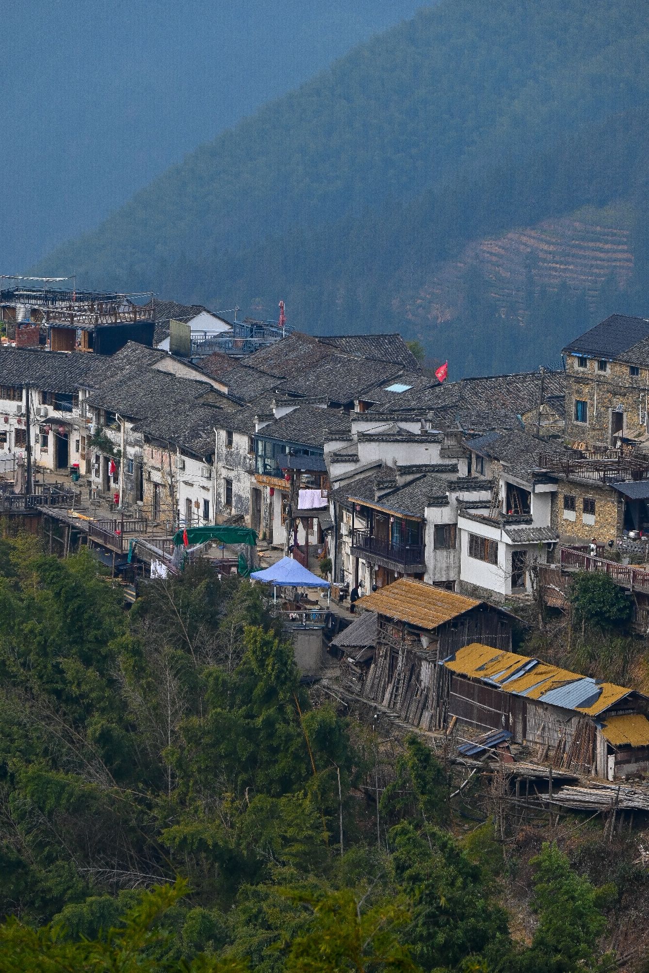 木梨硔旅行图片 3