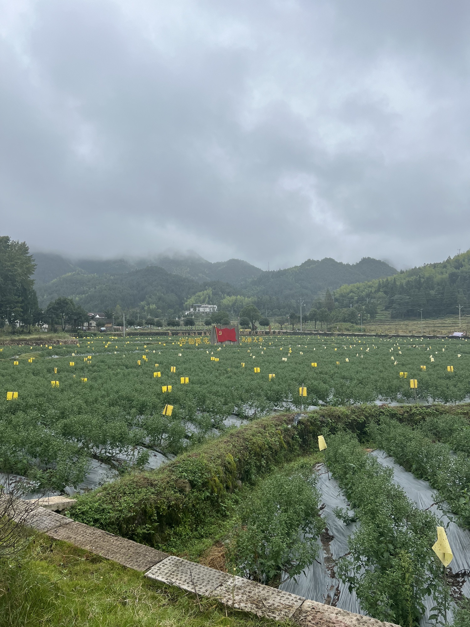 阜山乡陈宅七星馆旅行图片 2