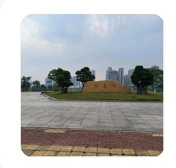桂象湖公园旅行图片 1