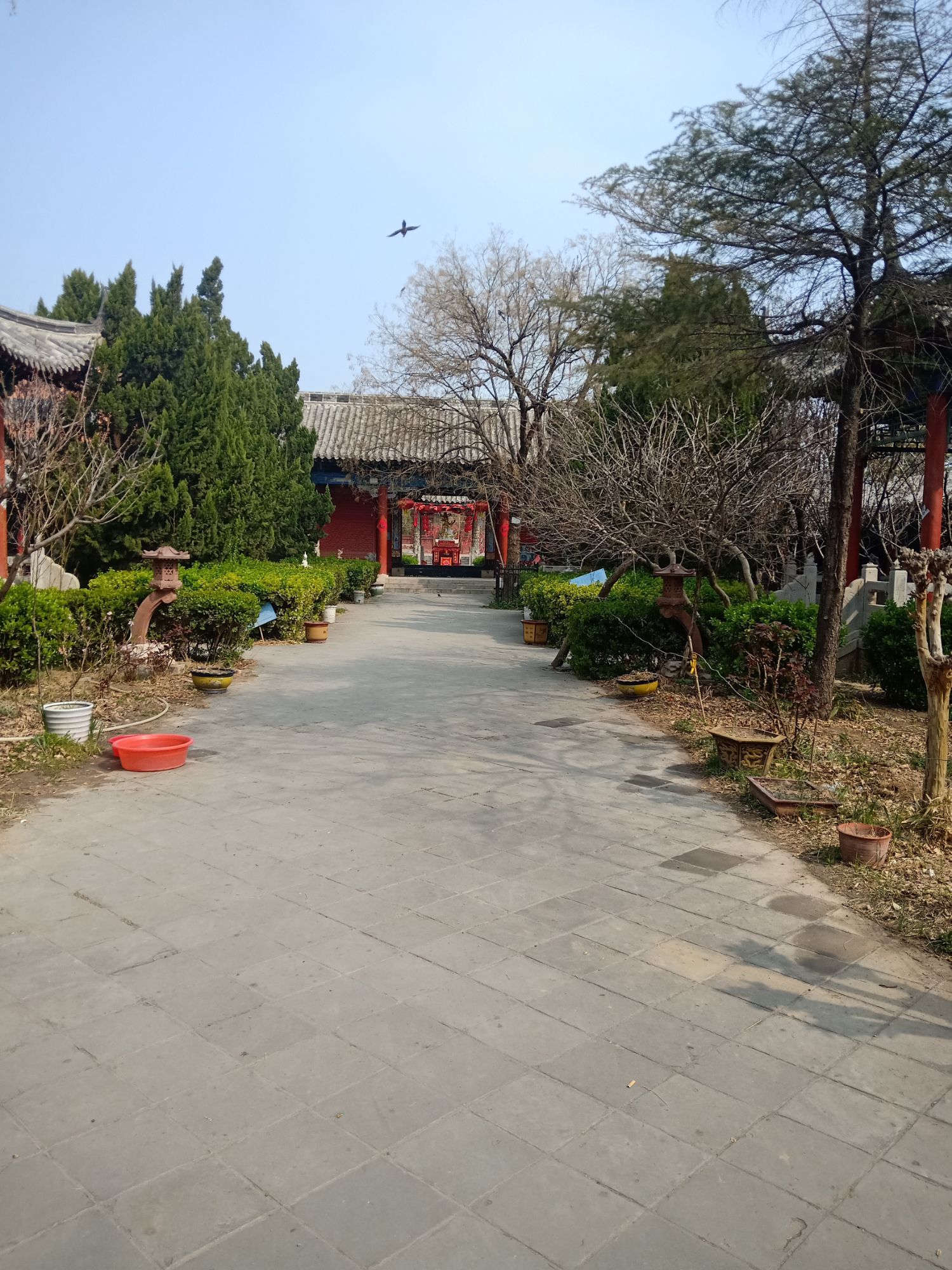 阳谷文庙旅行图片 3