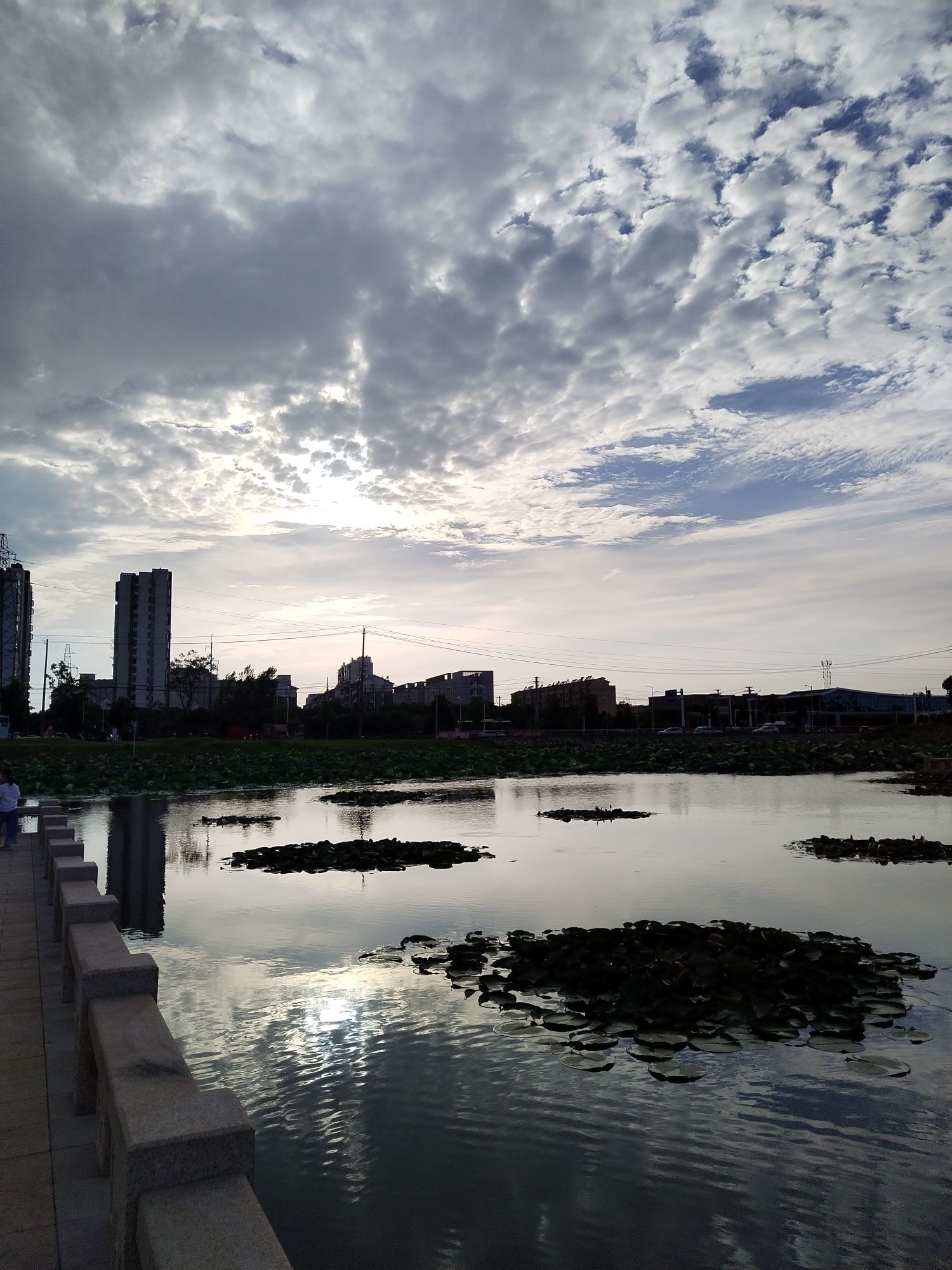 三湖一坝生态湿地公园旅行图片 1