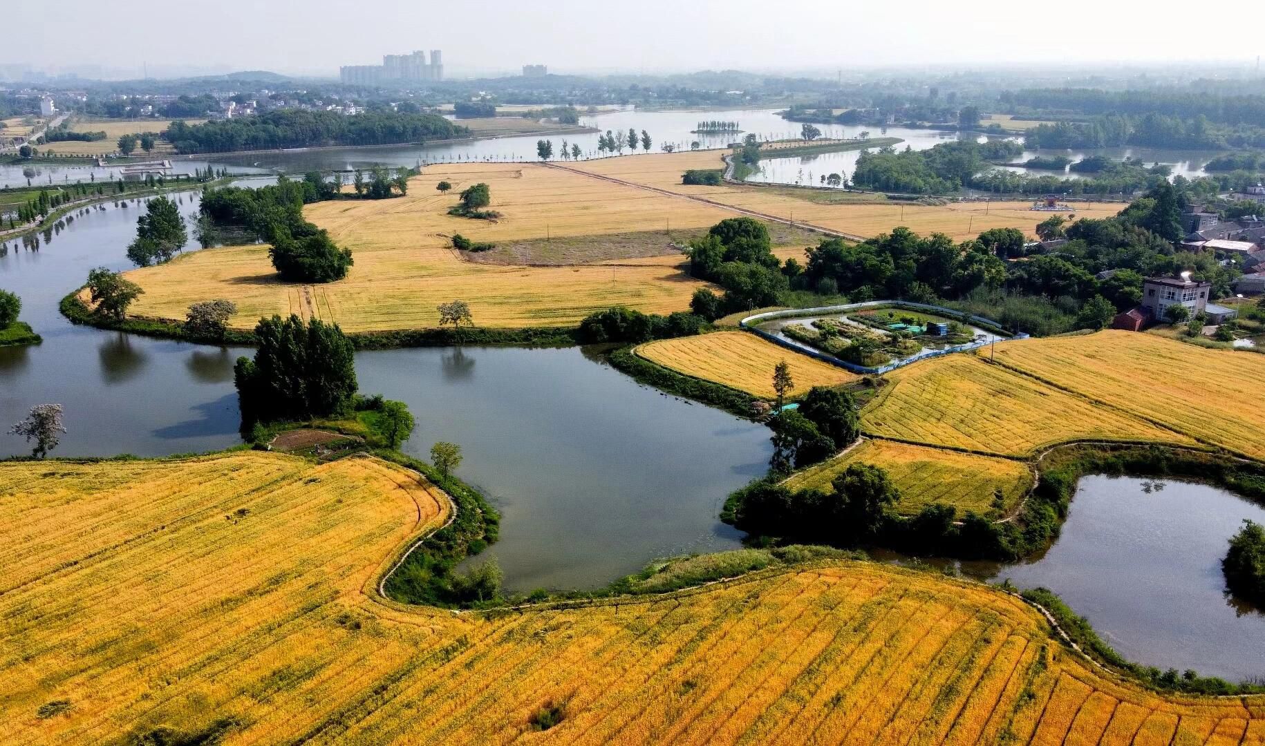 三湖一坝生态湿地公园旅行图片 1