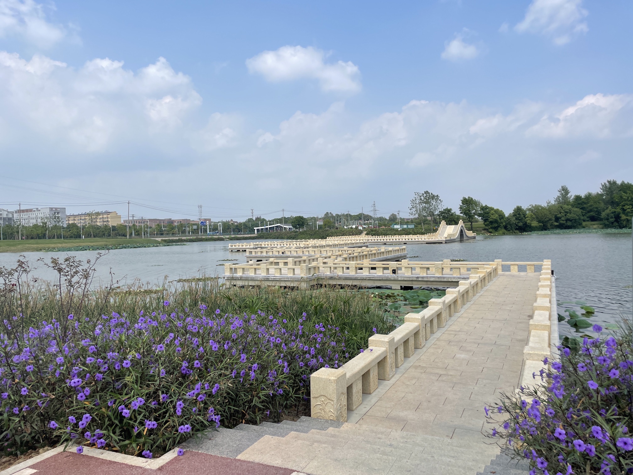 三湖一坝生态湿地公园旅行图片 1