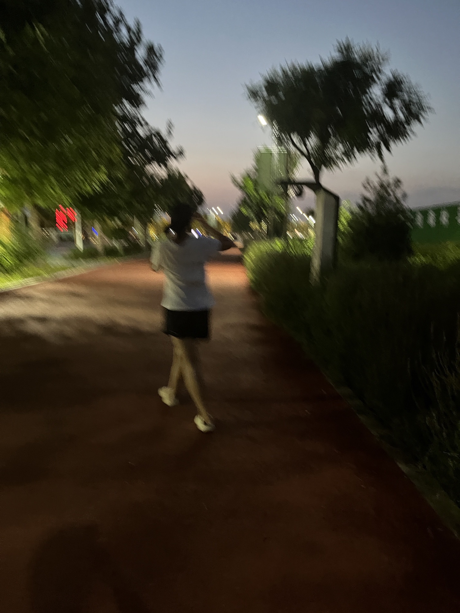 清苑体育公园旅行图片 3