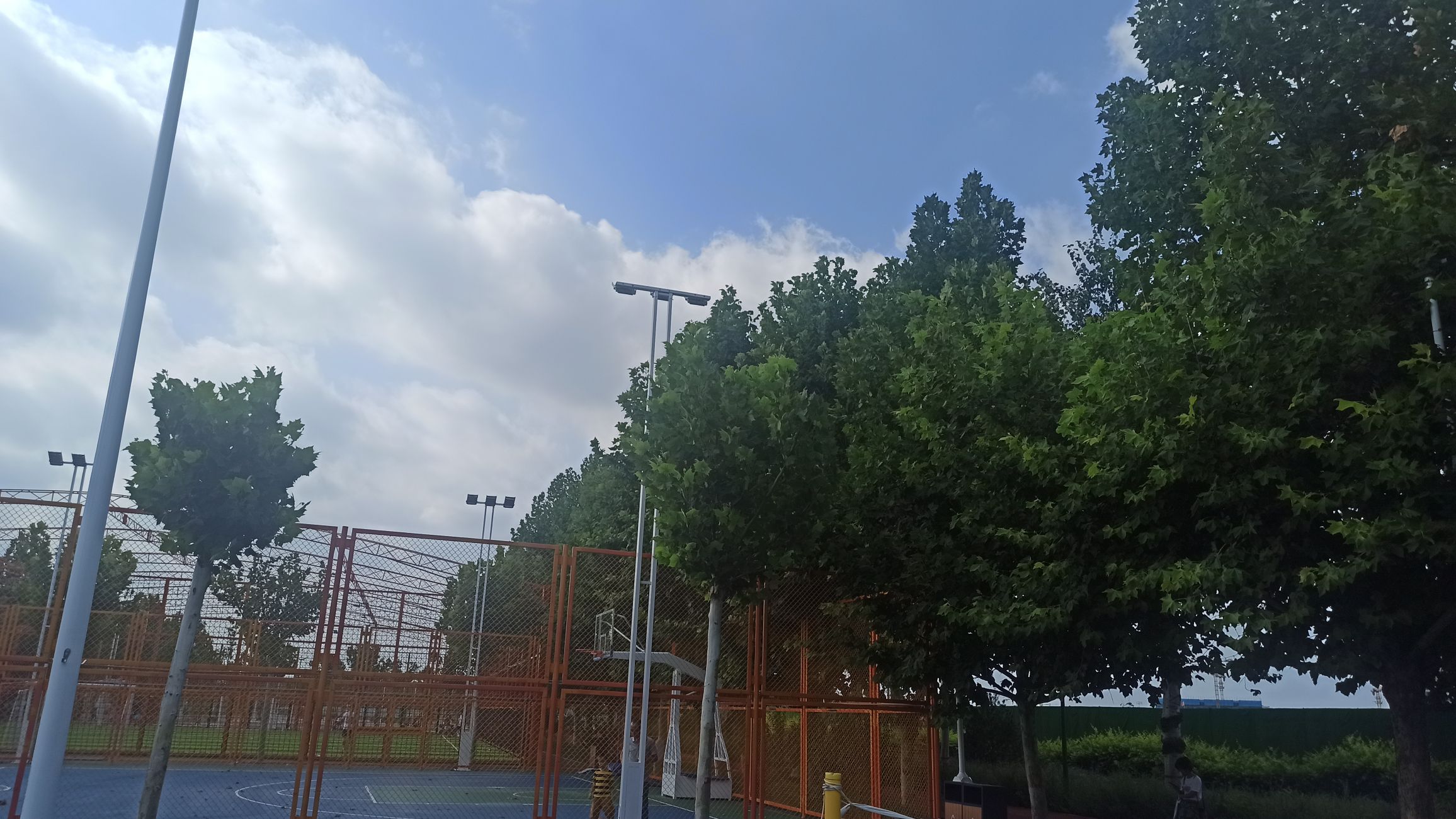 清苑体育公园旅行图片 2