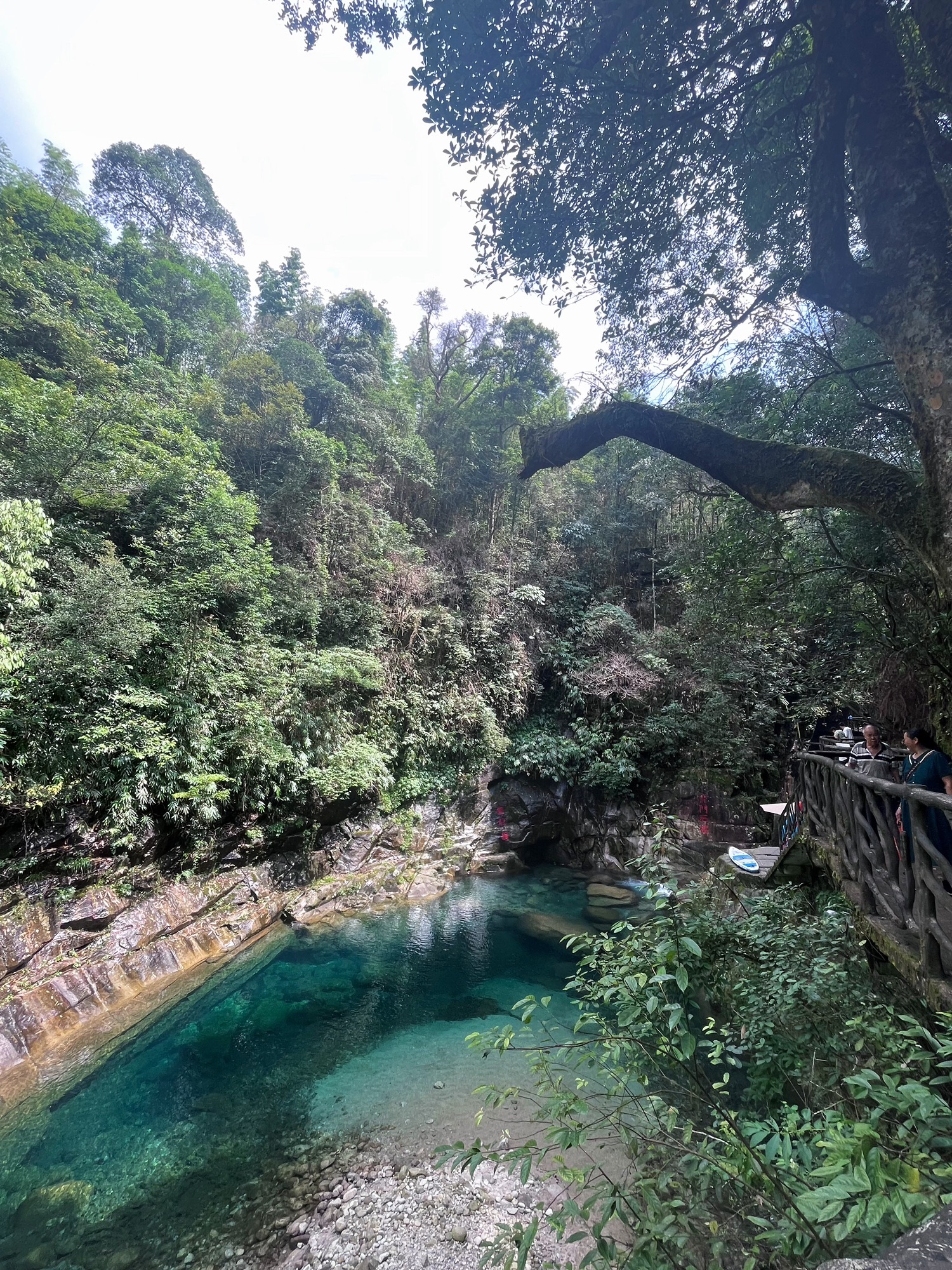 龙潭江景区旅行图片 1