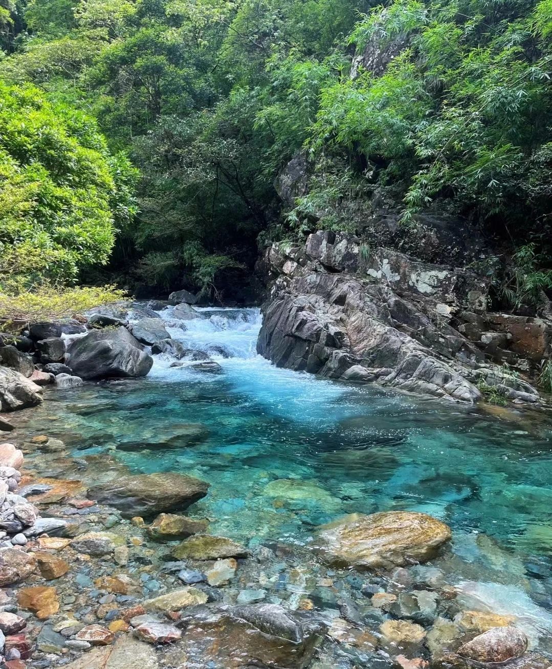 龙潭江景区旅行图片 3