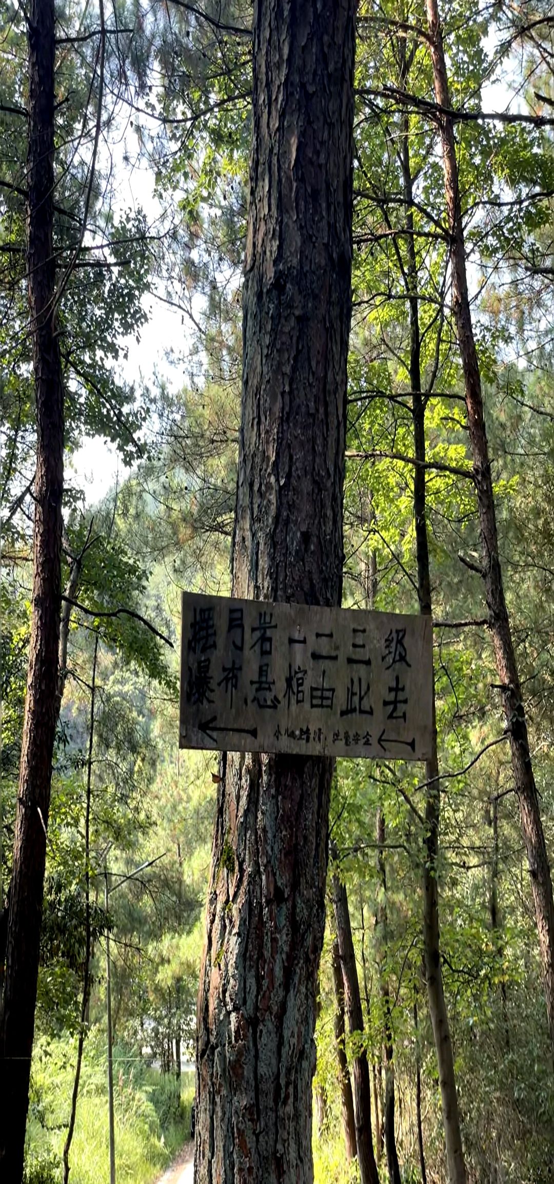 摆弓岩瀑布旅行图片 1