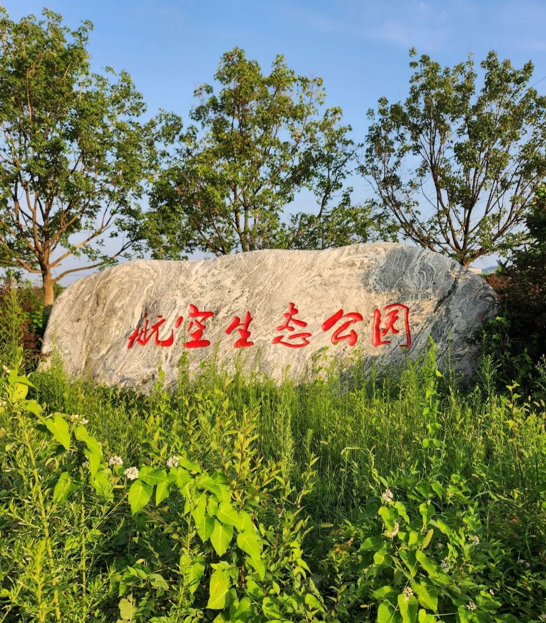 航空生态公园