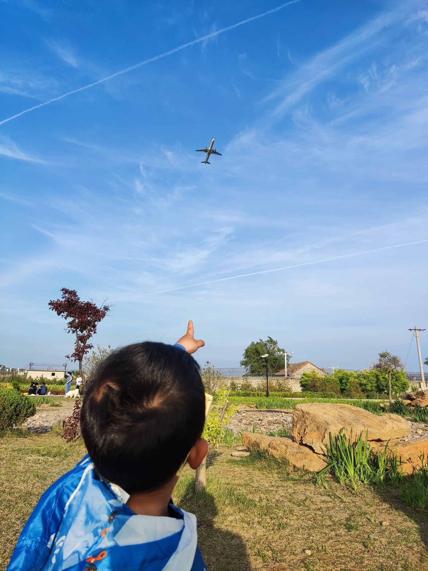 航空生态公园旅行图片 3