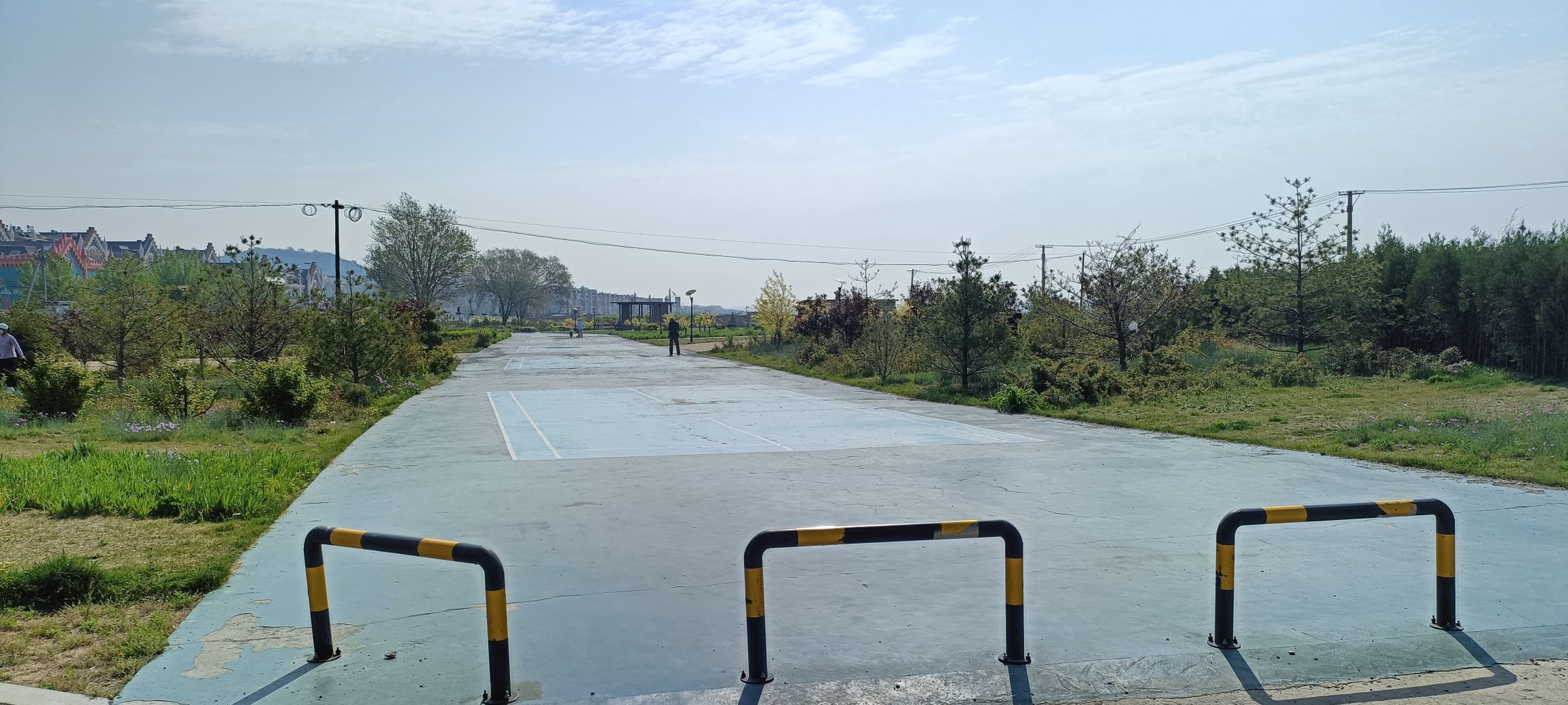 航空生态公园旅行图片 3