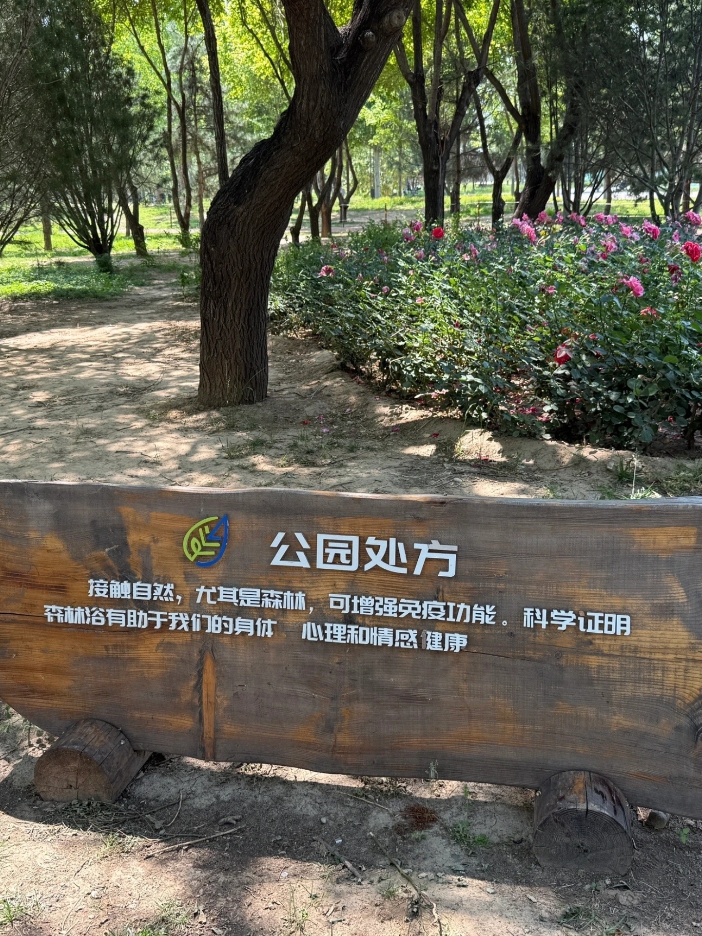 滨水文化公园旅行图片 2