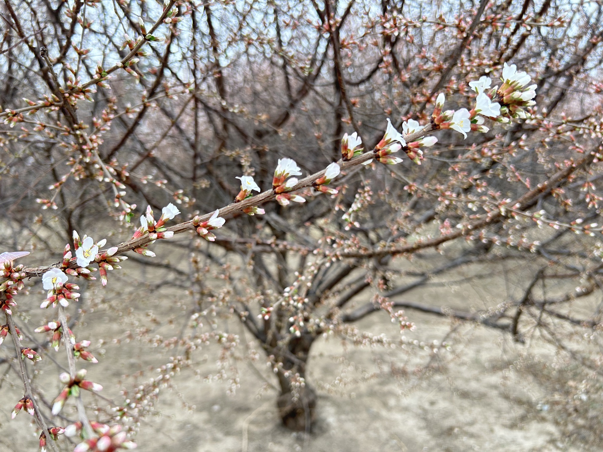 滨水文化公园旅行图片 2