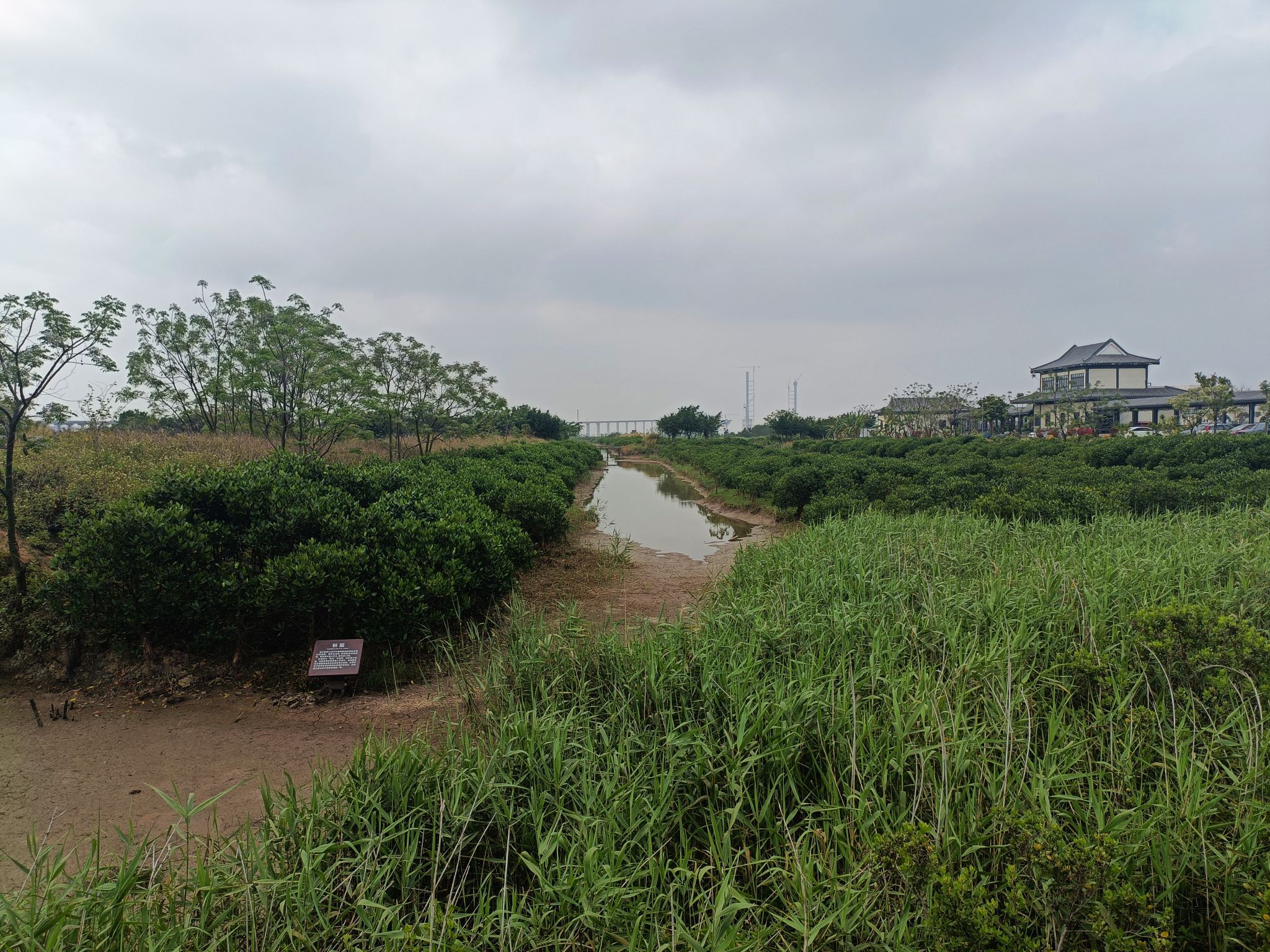 平沙湿地公园旅行图片 2