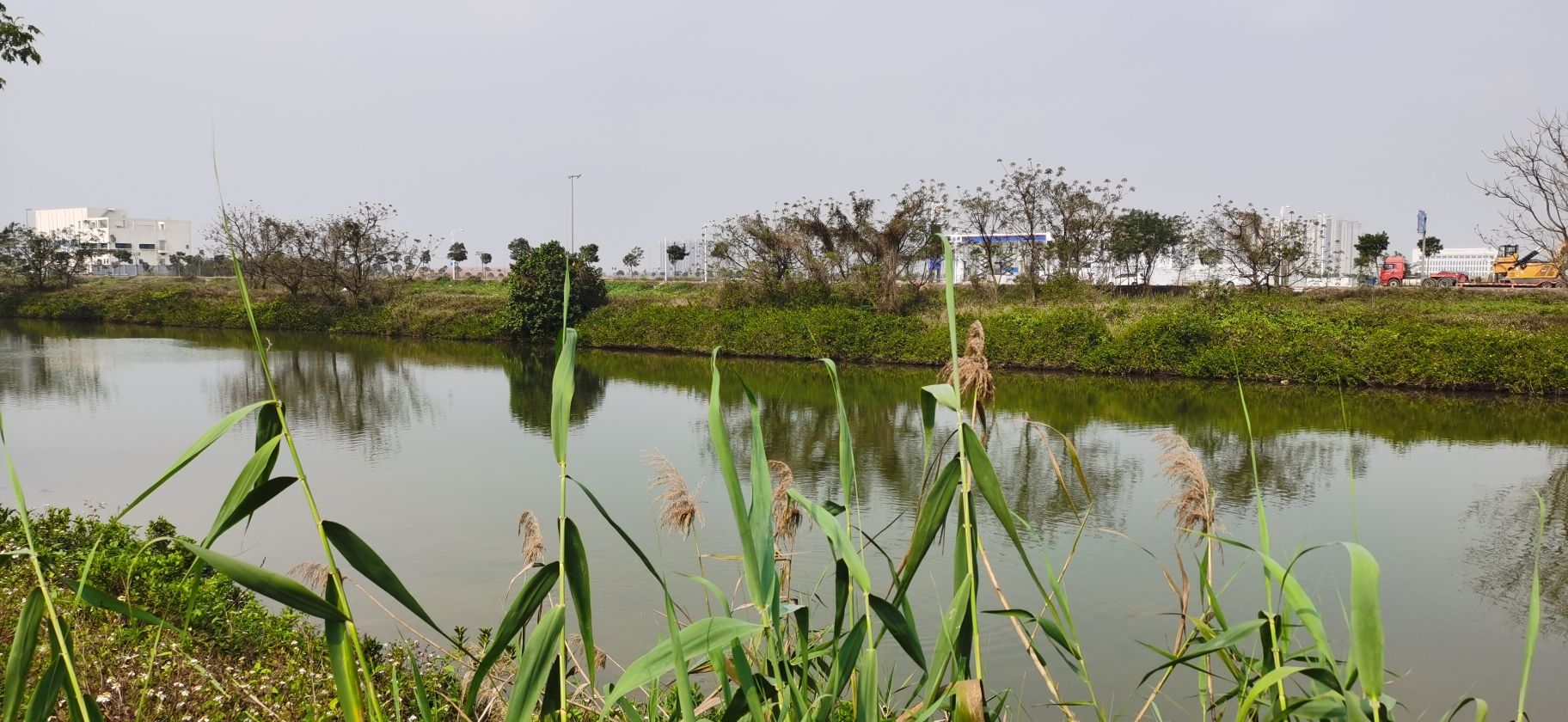 平沙湿地公园旅行图片 3