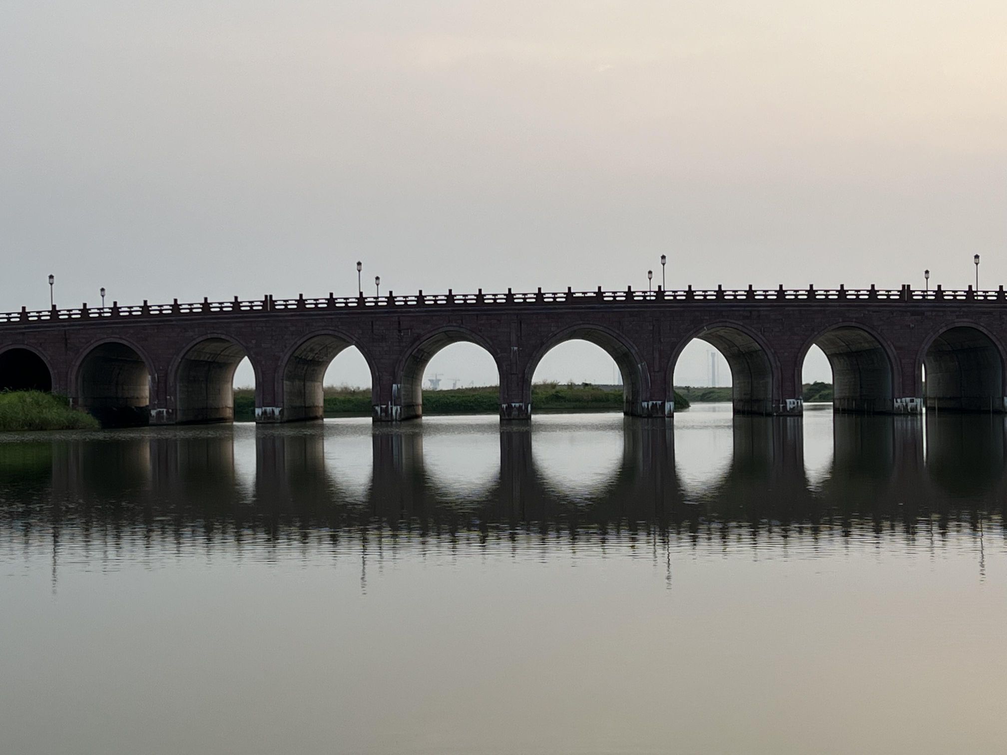 平沙湿地公园旅行图片 3