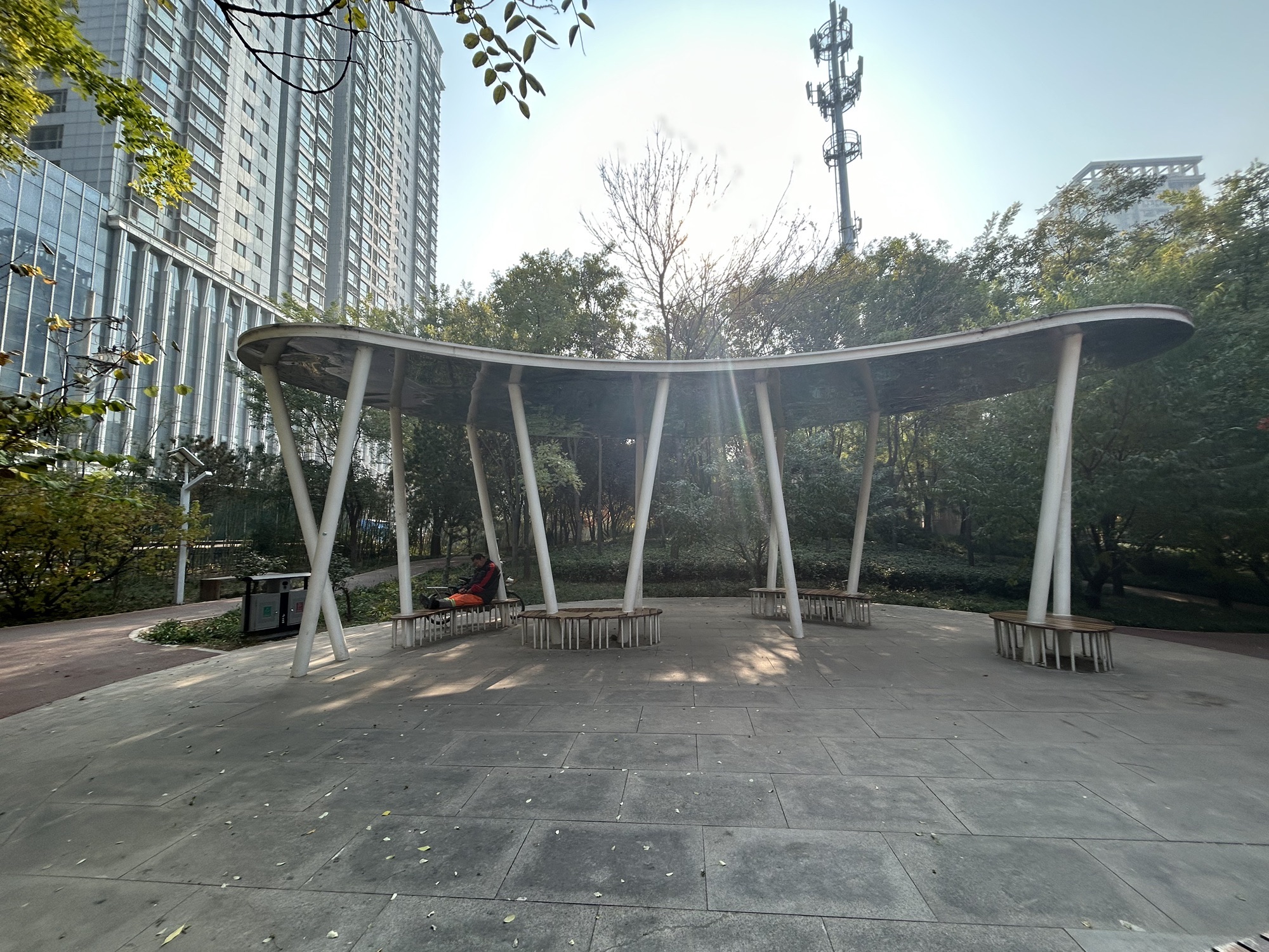 朝辉园旅行图片 2