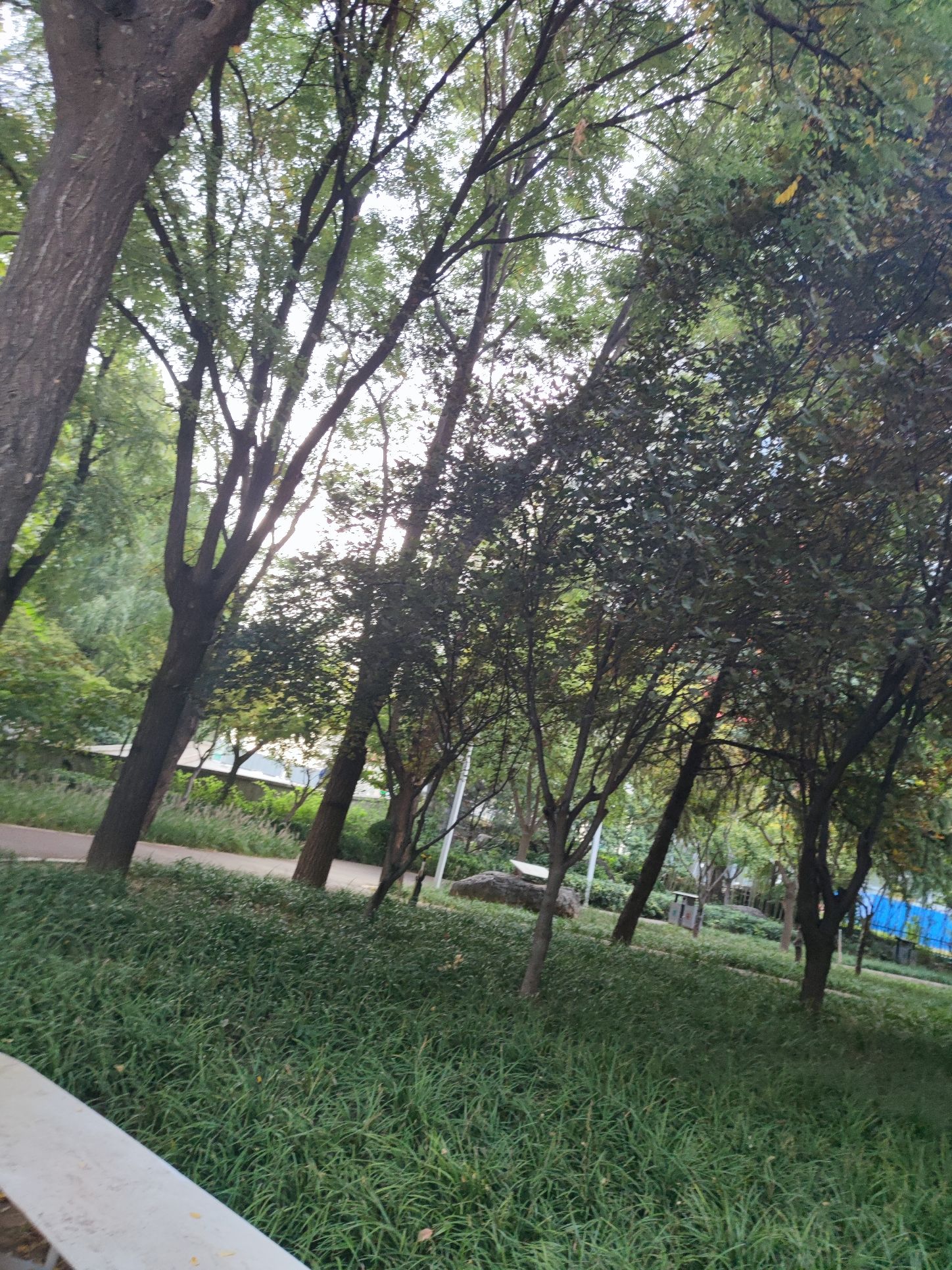 朝辉园旅行图片 1