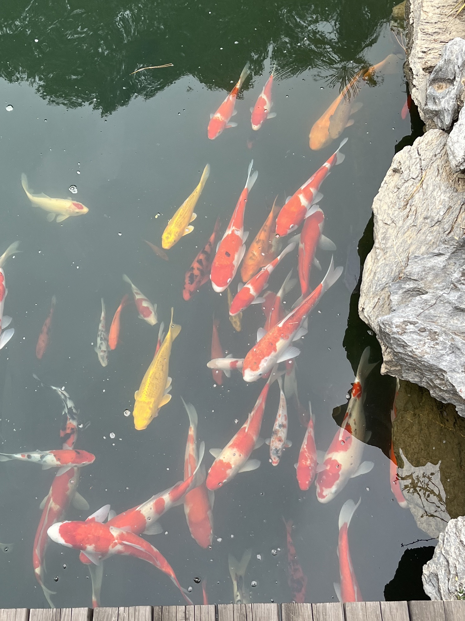 云天麓谷景区旅行图片 2