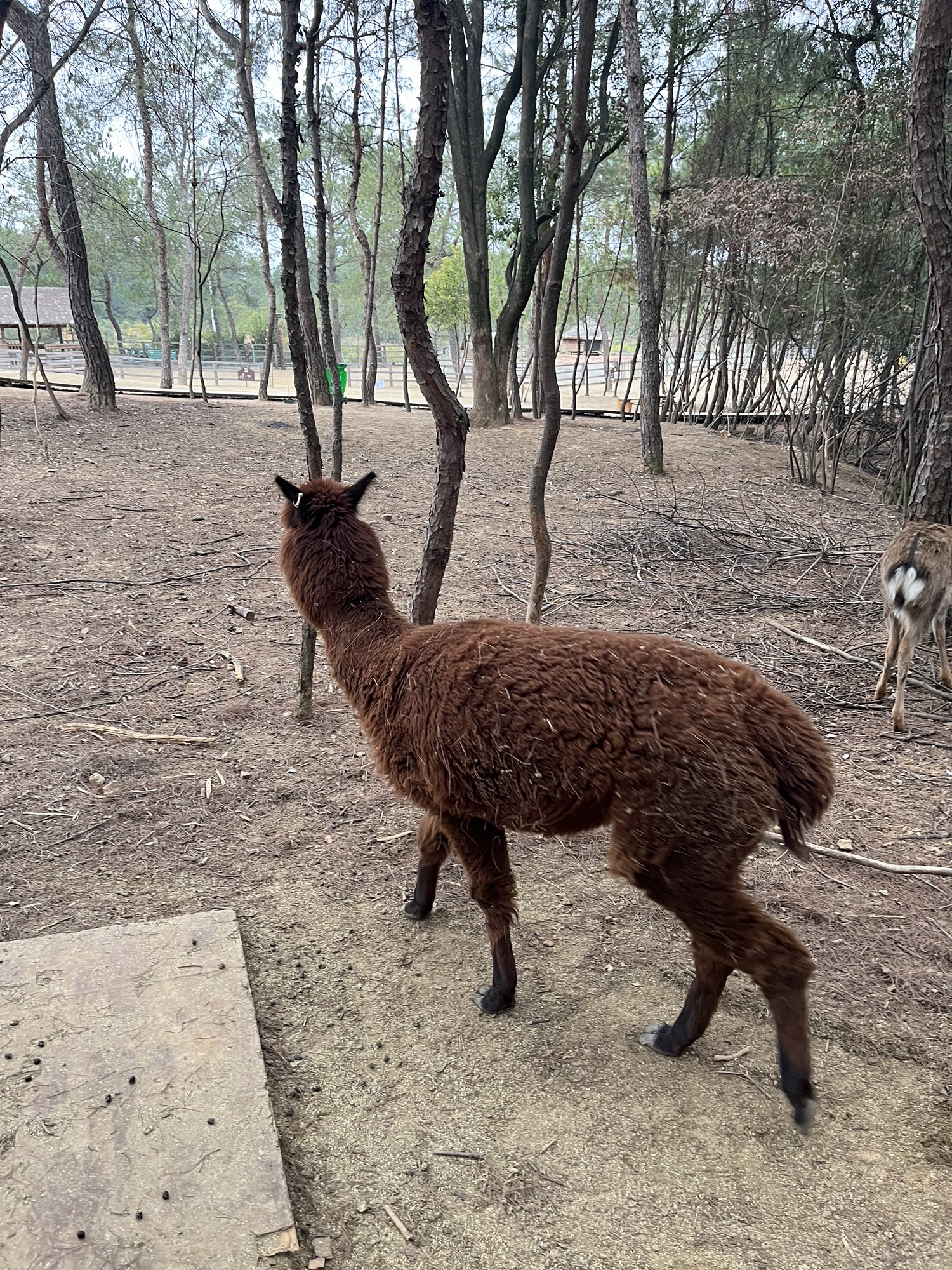 云天麓谷景区旅行图片 3