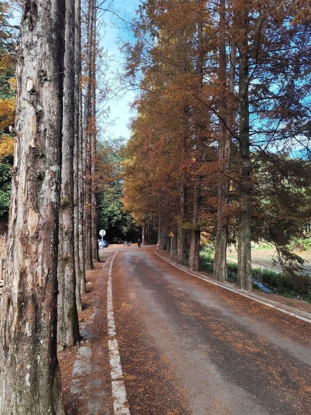 福建龙栖山国家级自然保护区旅行图片 1