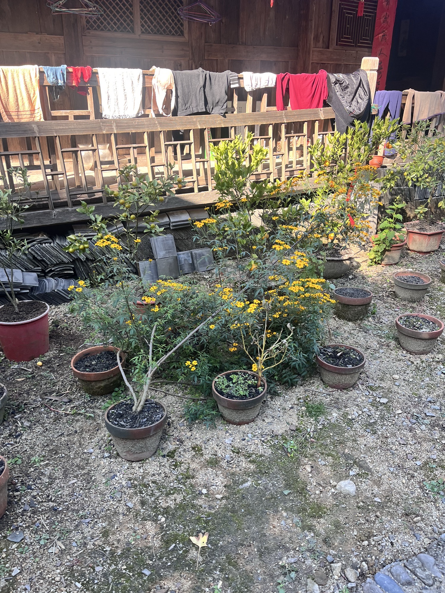 福建龙栖山国家级自然保护区旅行图片 2