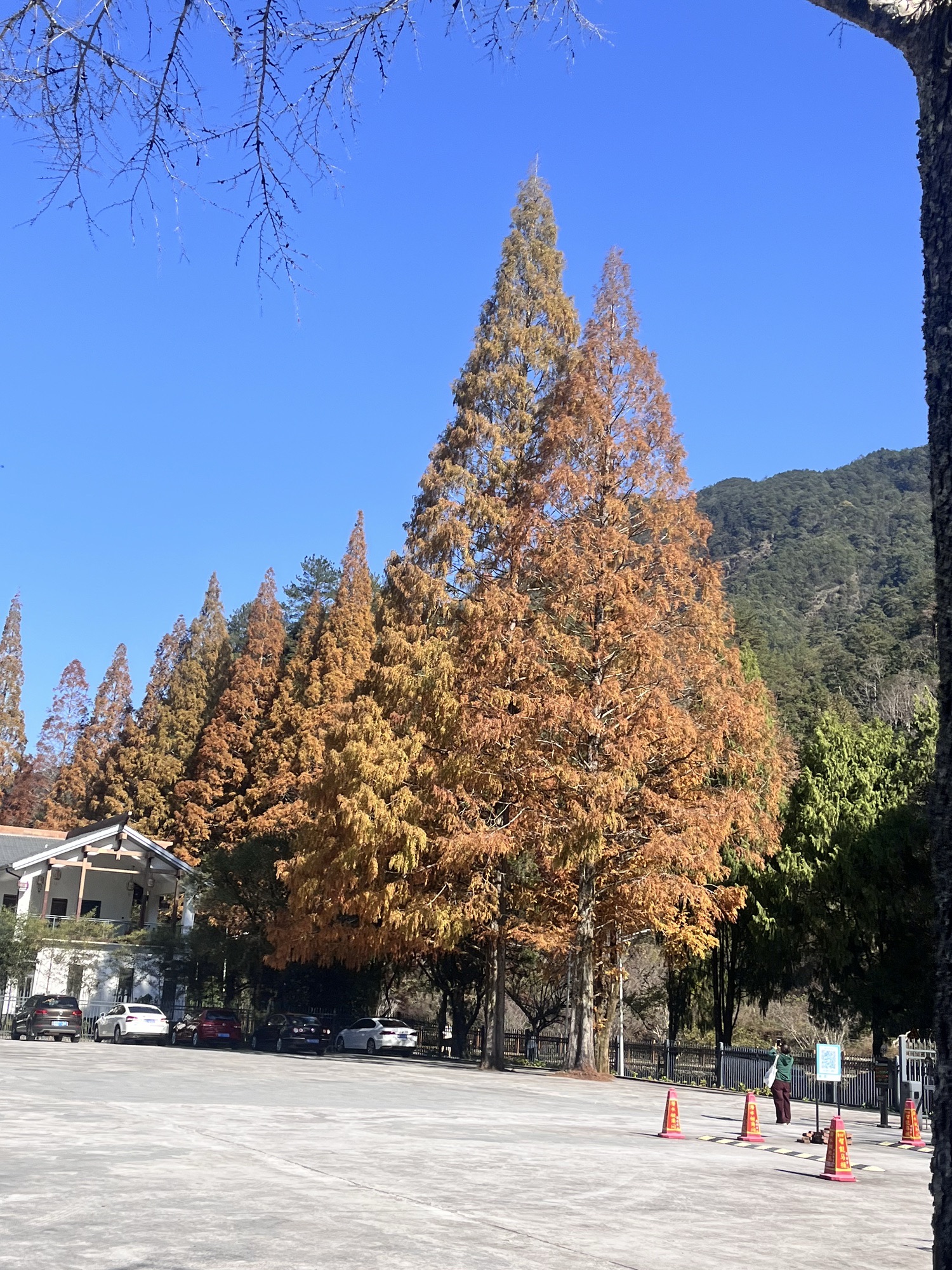 福建龙栖山国家级自然保护区旅行图片