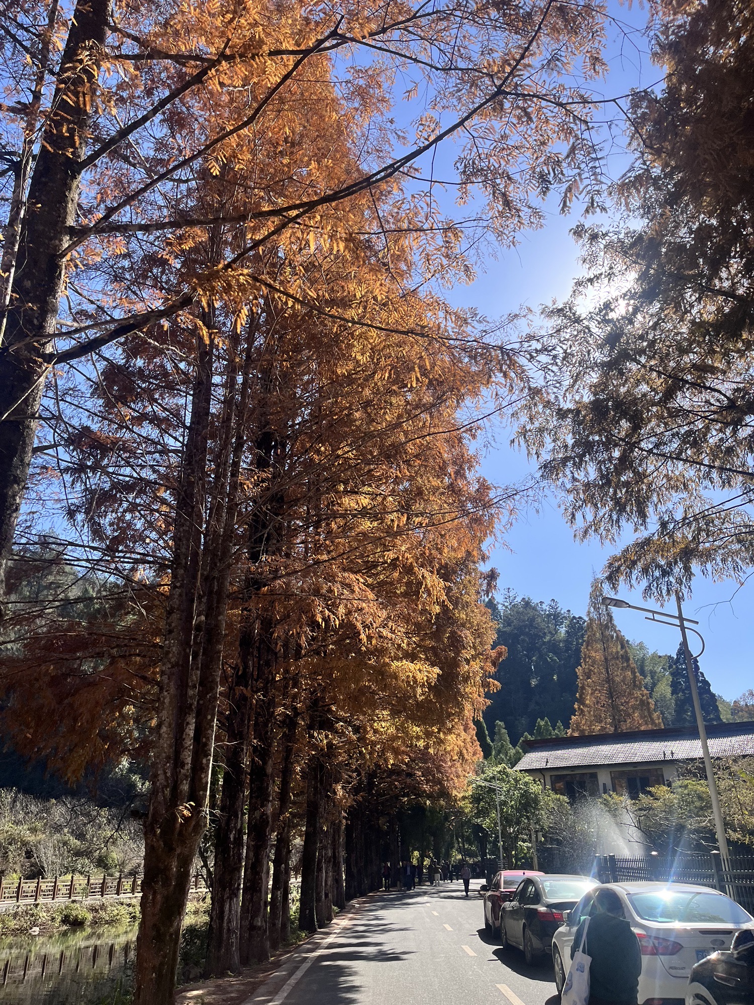 福建龙栖山国家级自然保护区旅行图片 3