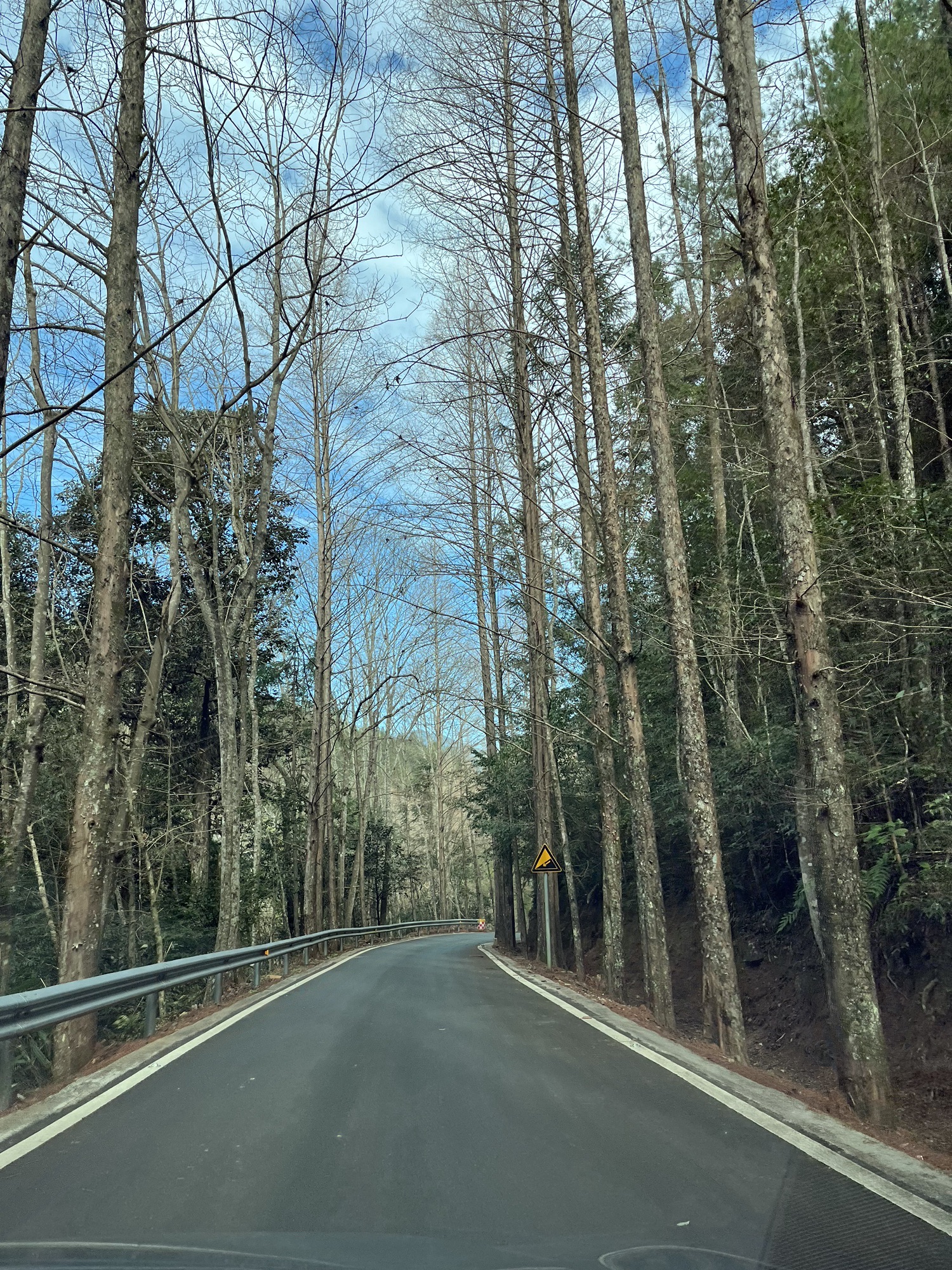 福建龙栖山国家级自然保护区旅行图片 1