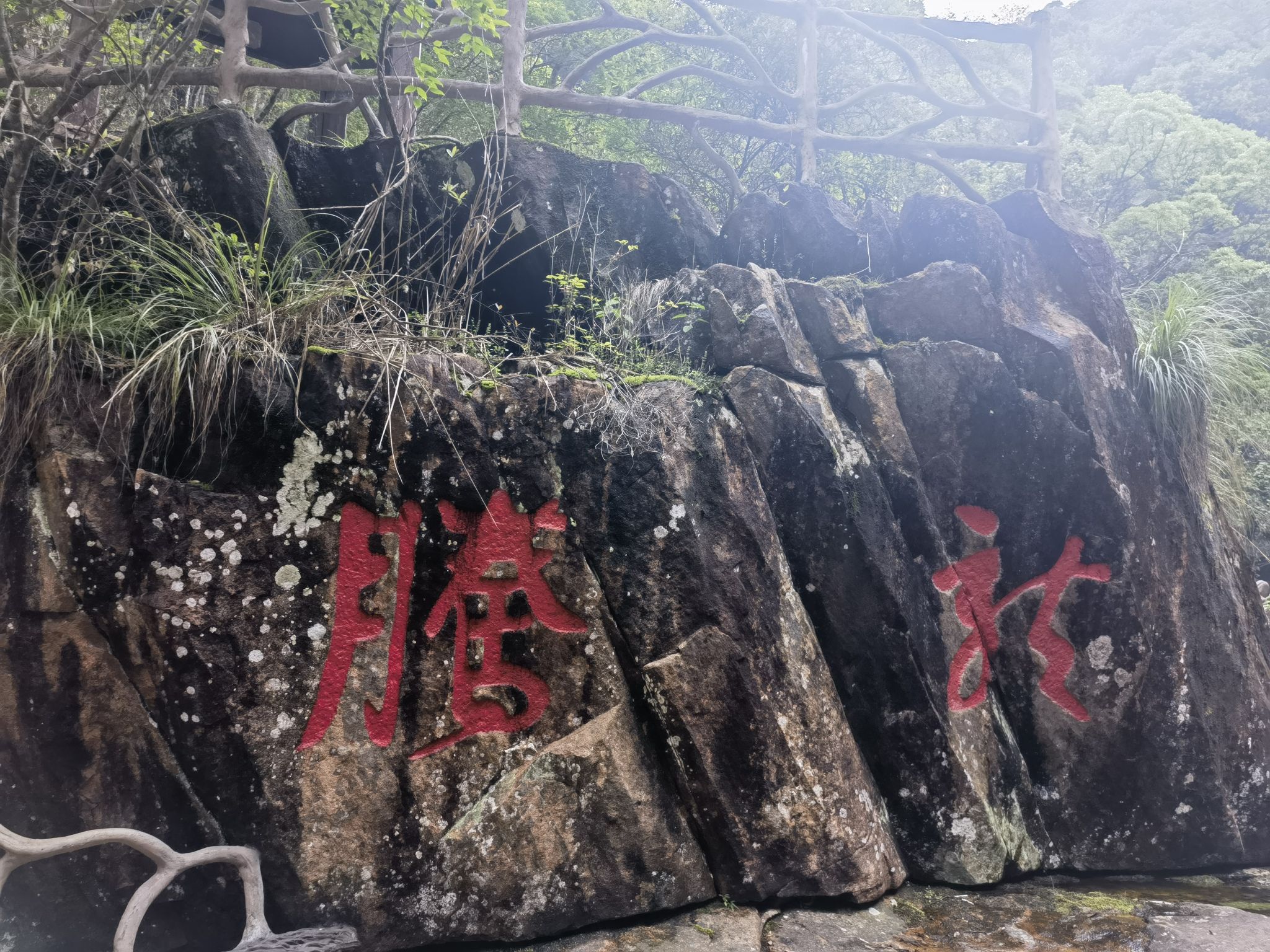 福建龙栖山国家级自然保护区旅行图片 2