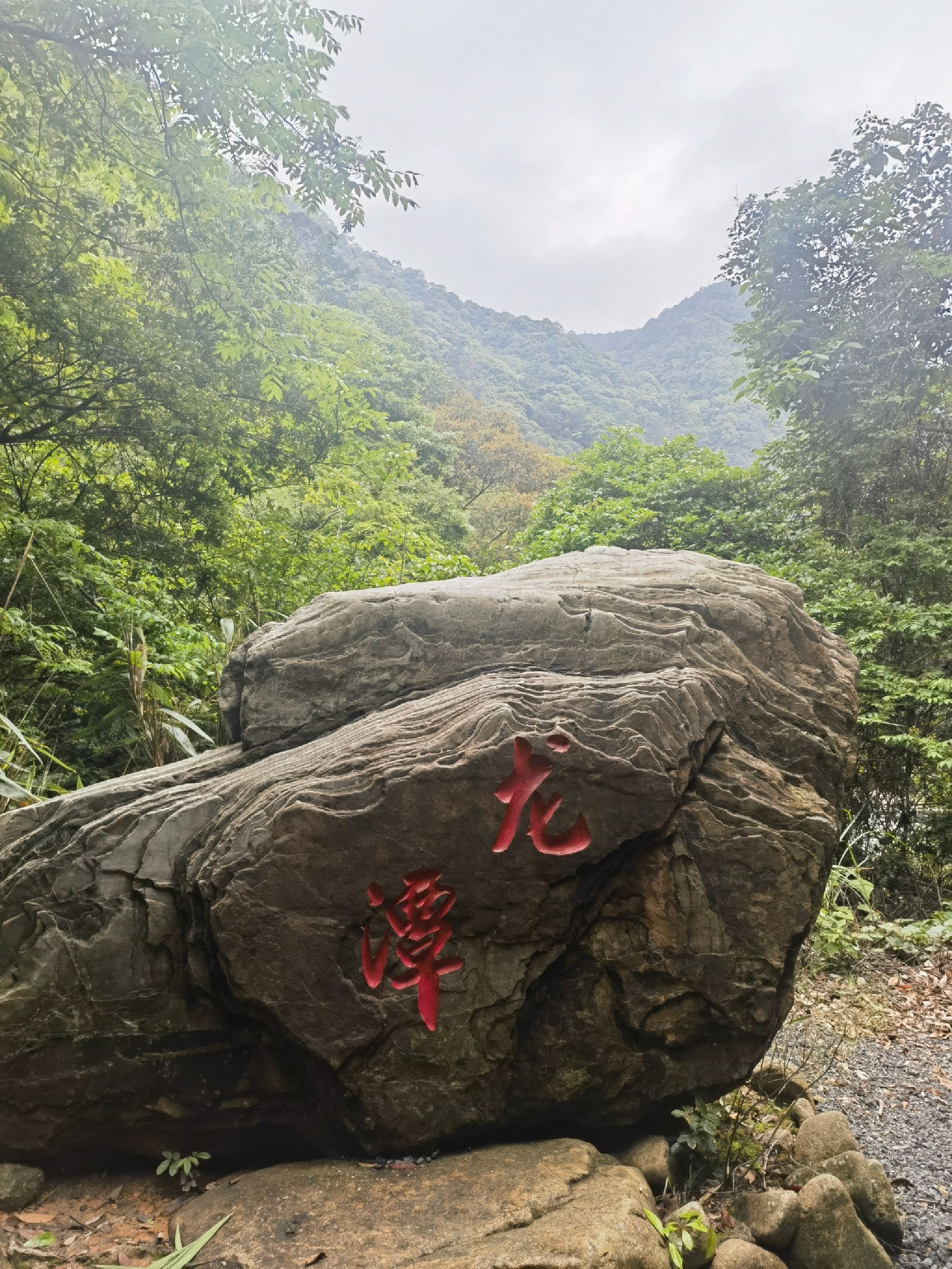 福建龙栖山国家级自然保护区旅行图片 1
