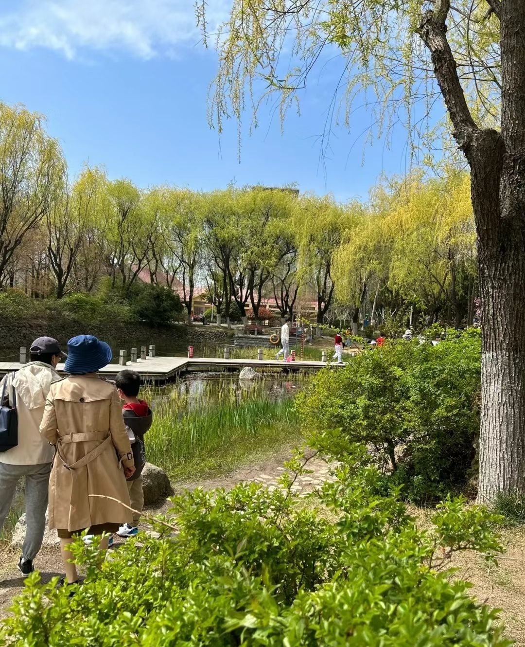 金阳公园旅行图片 2