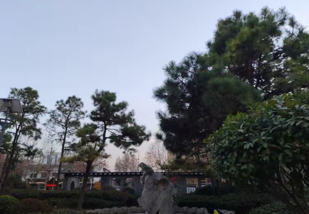 金阳公园旅行图片 3