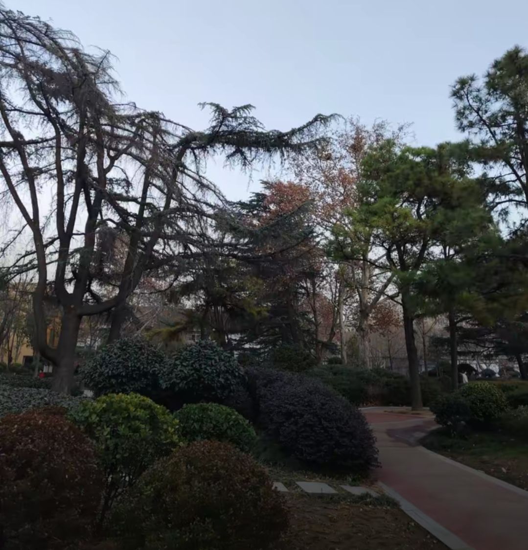 金阳公园旅行图片 1