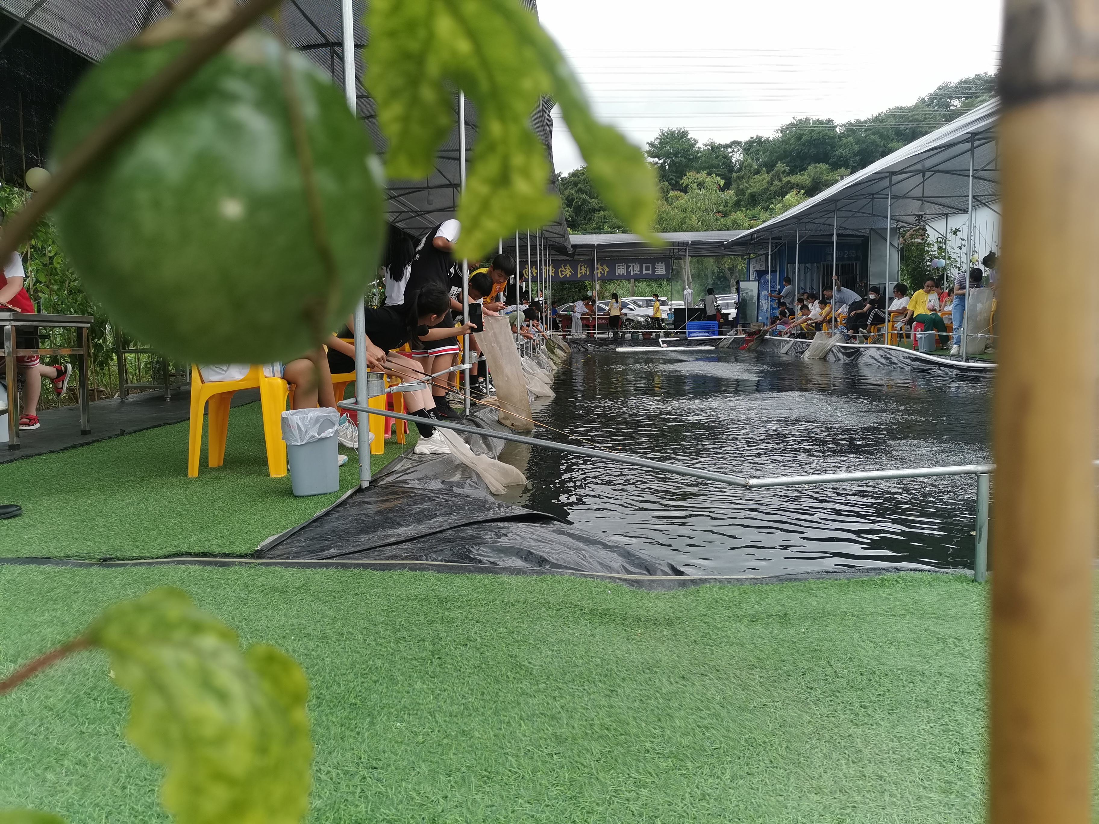 虾闹钓虾场