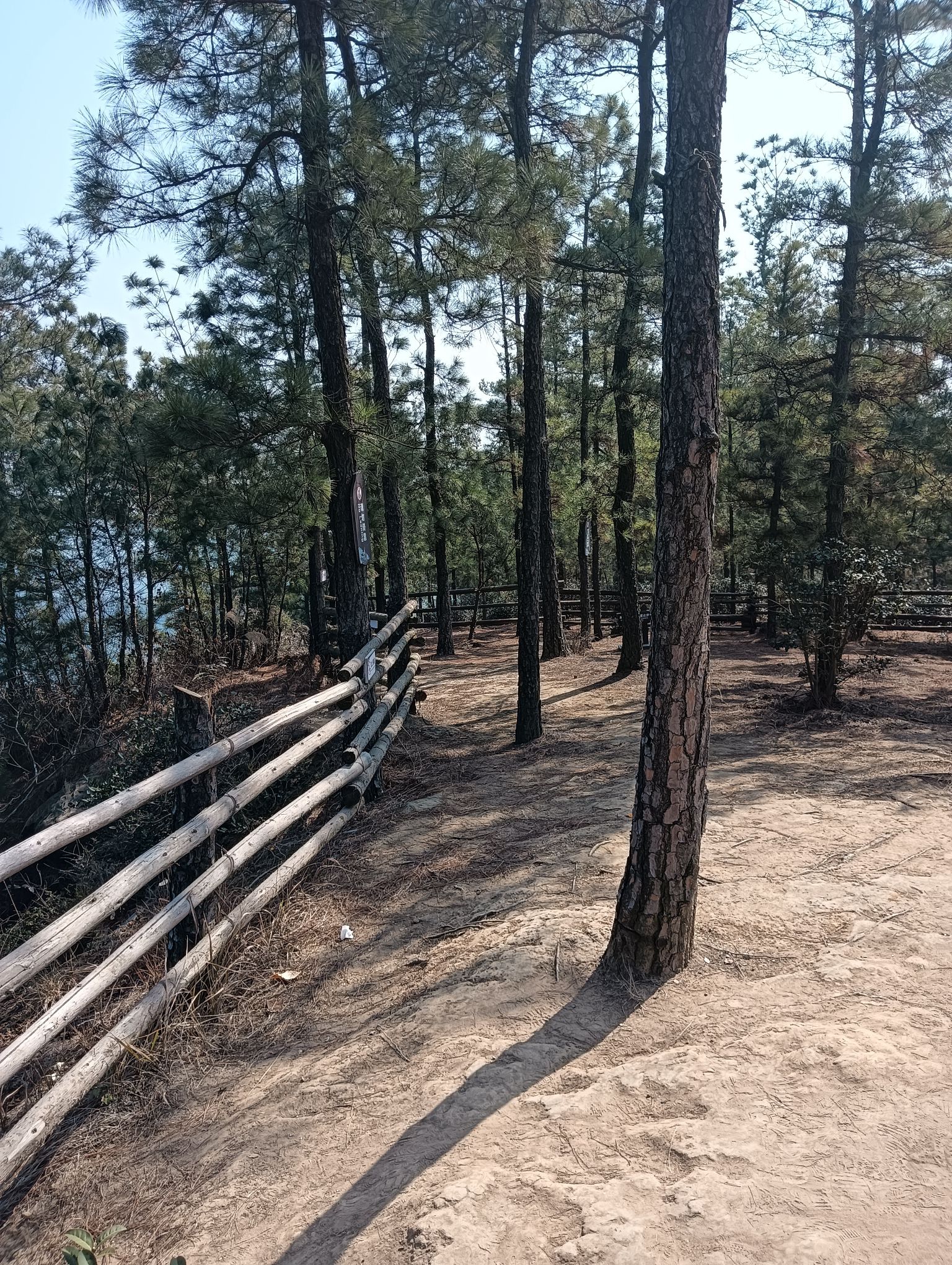 威远古佛顶旅游景区旅行图片 1