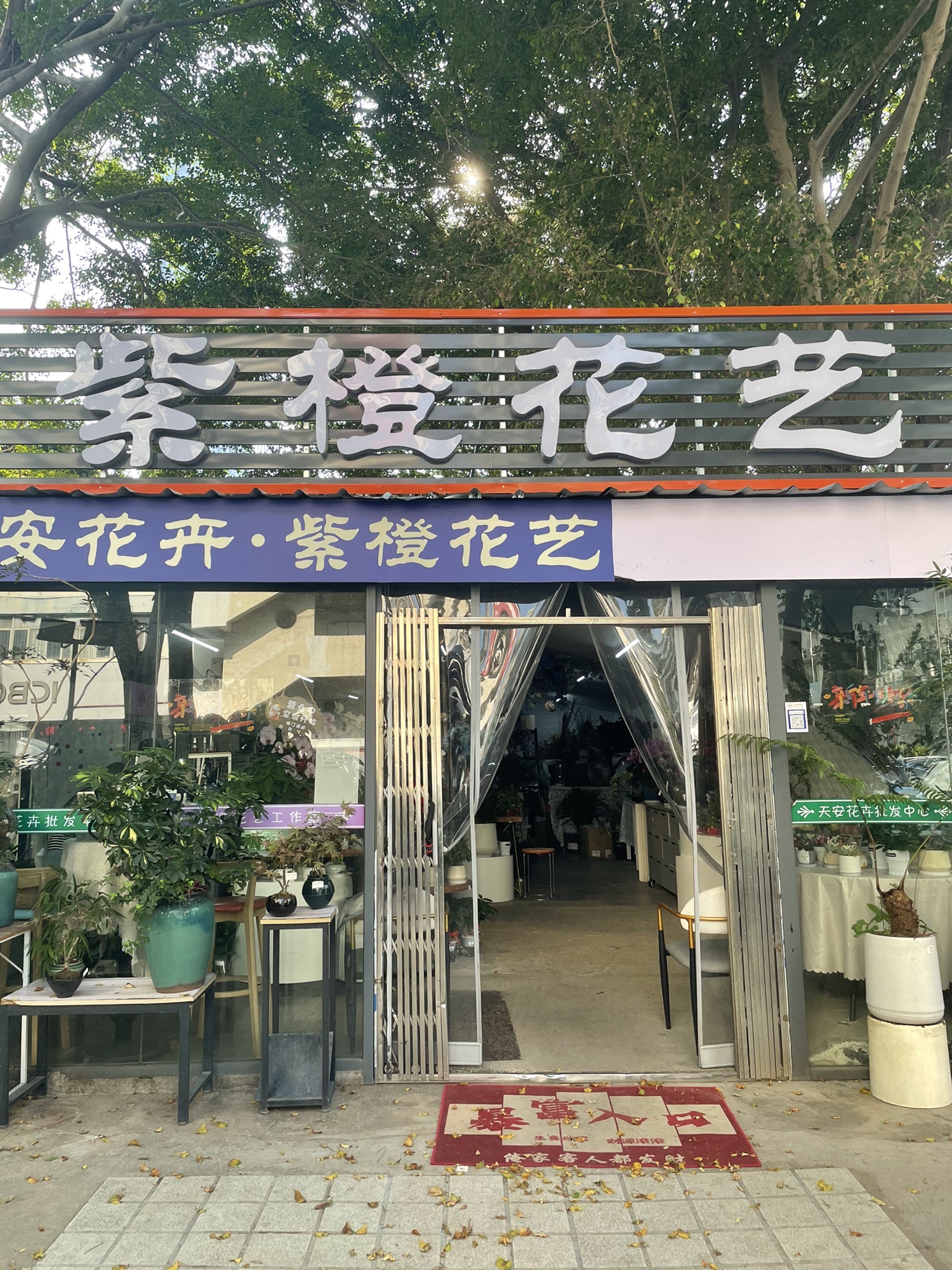 天安花卉.绿植.鲜花.车公庙店