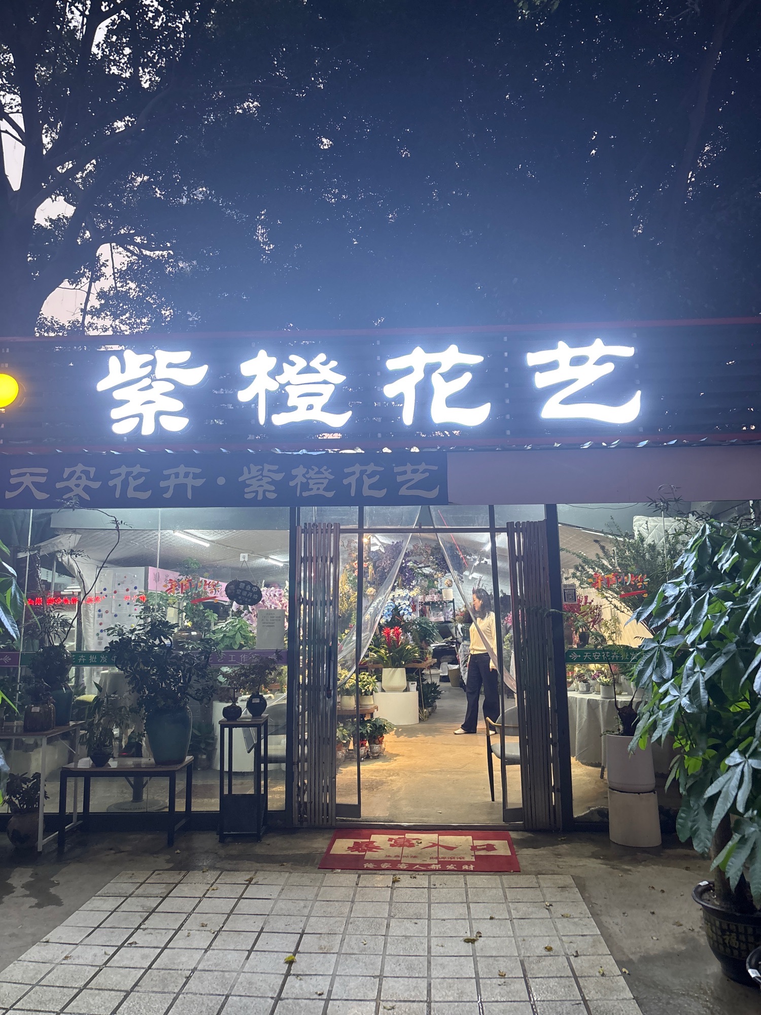 天安花卉.绿植.鲜花.车公庙店