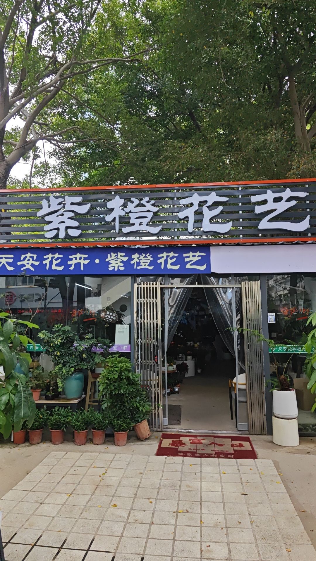 天安花卉.绿植.鲜花.车公庙店