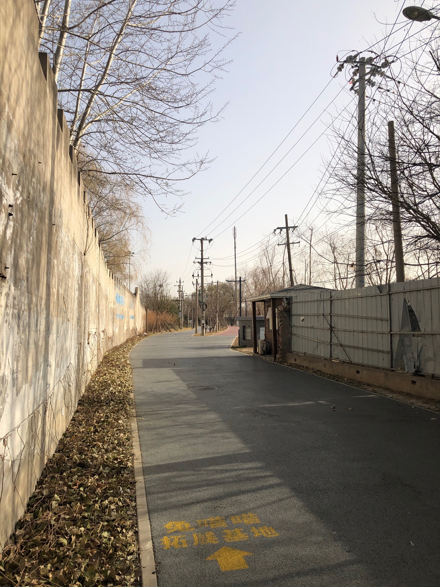 南苑森林湿地公园1期旅行图片 1