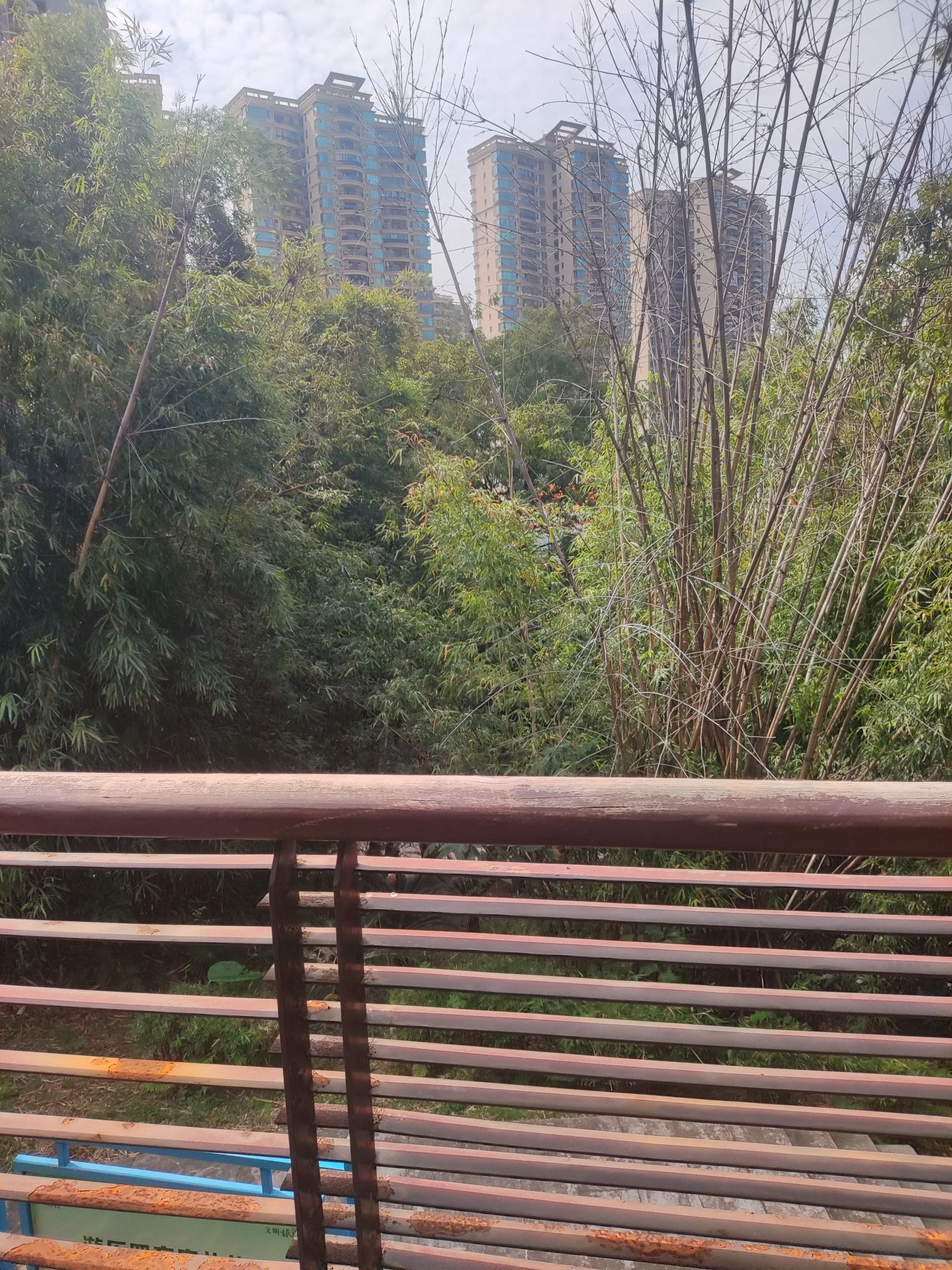 凯景社区体育公园旅行图片 1